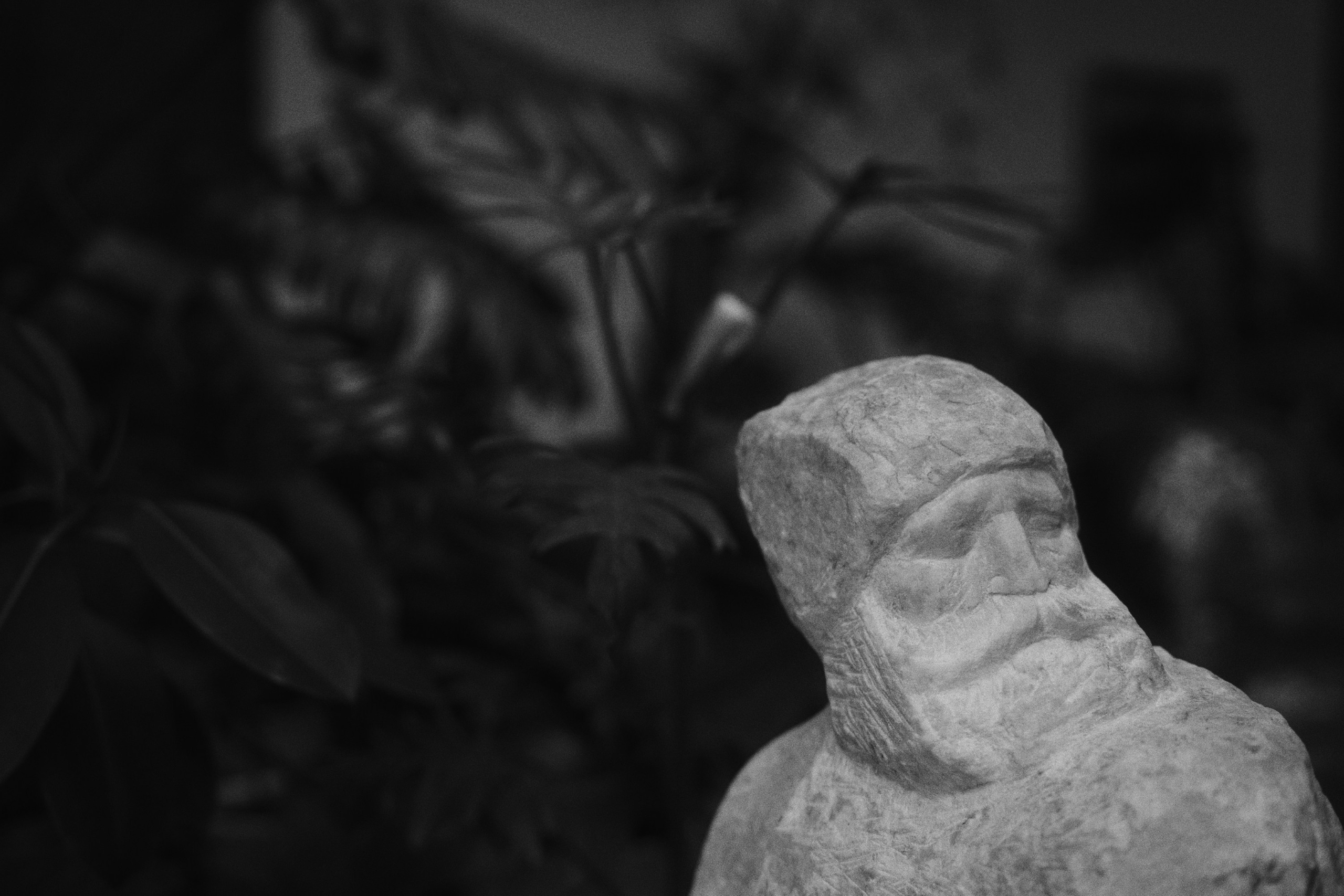 DSPL. Фотограф Юрин Евгений