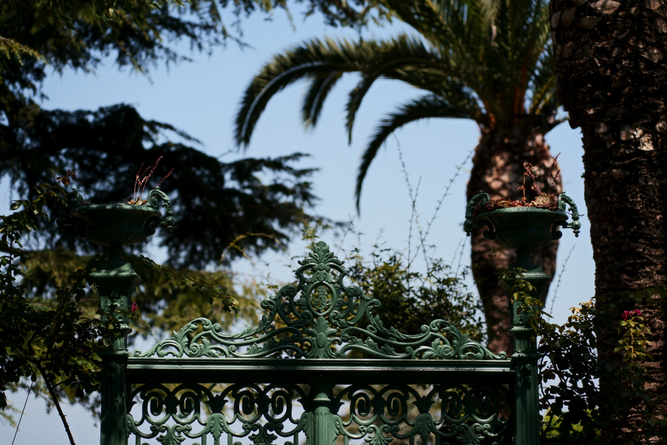 Büyükada х Heybeliada, Istanbul / Türkey SS25. Фотограф Юрин Евгений