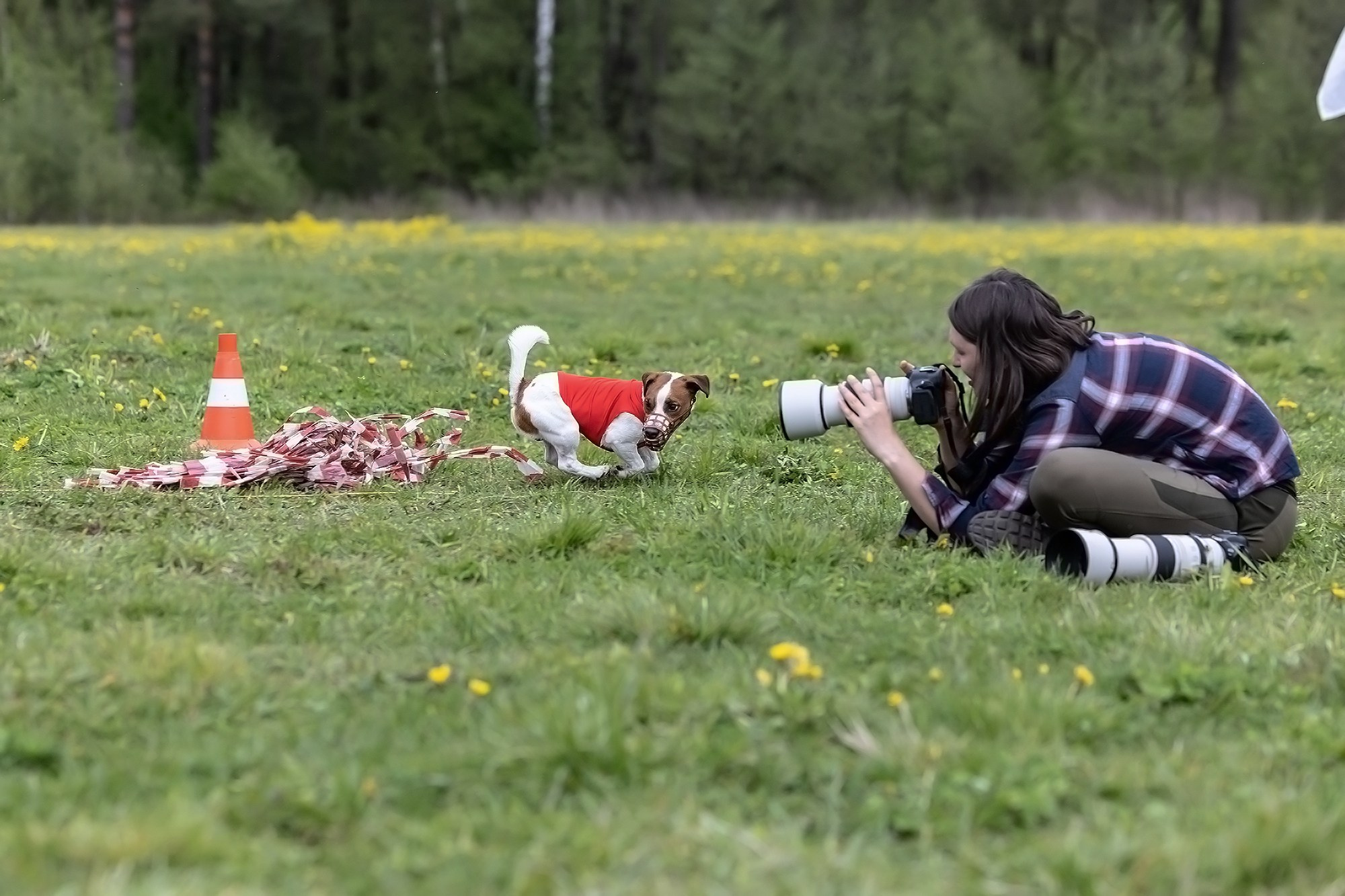 КУРСИНГ. Борис Артамонов фотограф — анималист. Москва