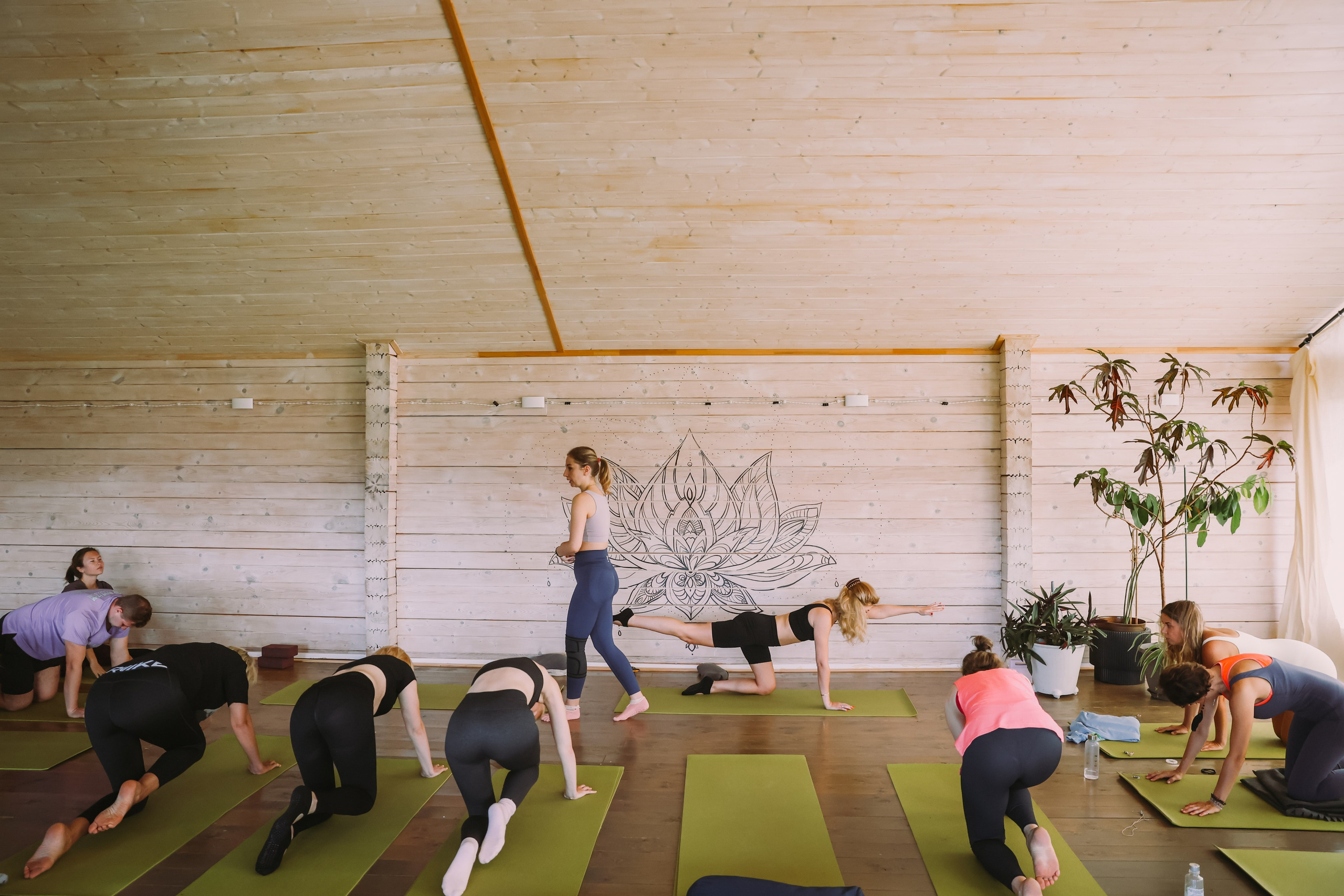 Йога-ретрит в Завидово на Иван Купалу. Фотограф и видеограф Анна Домашенко