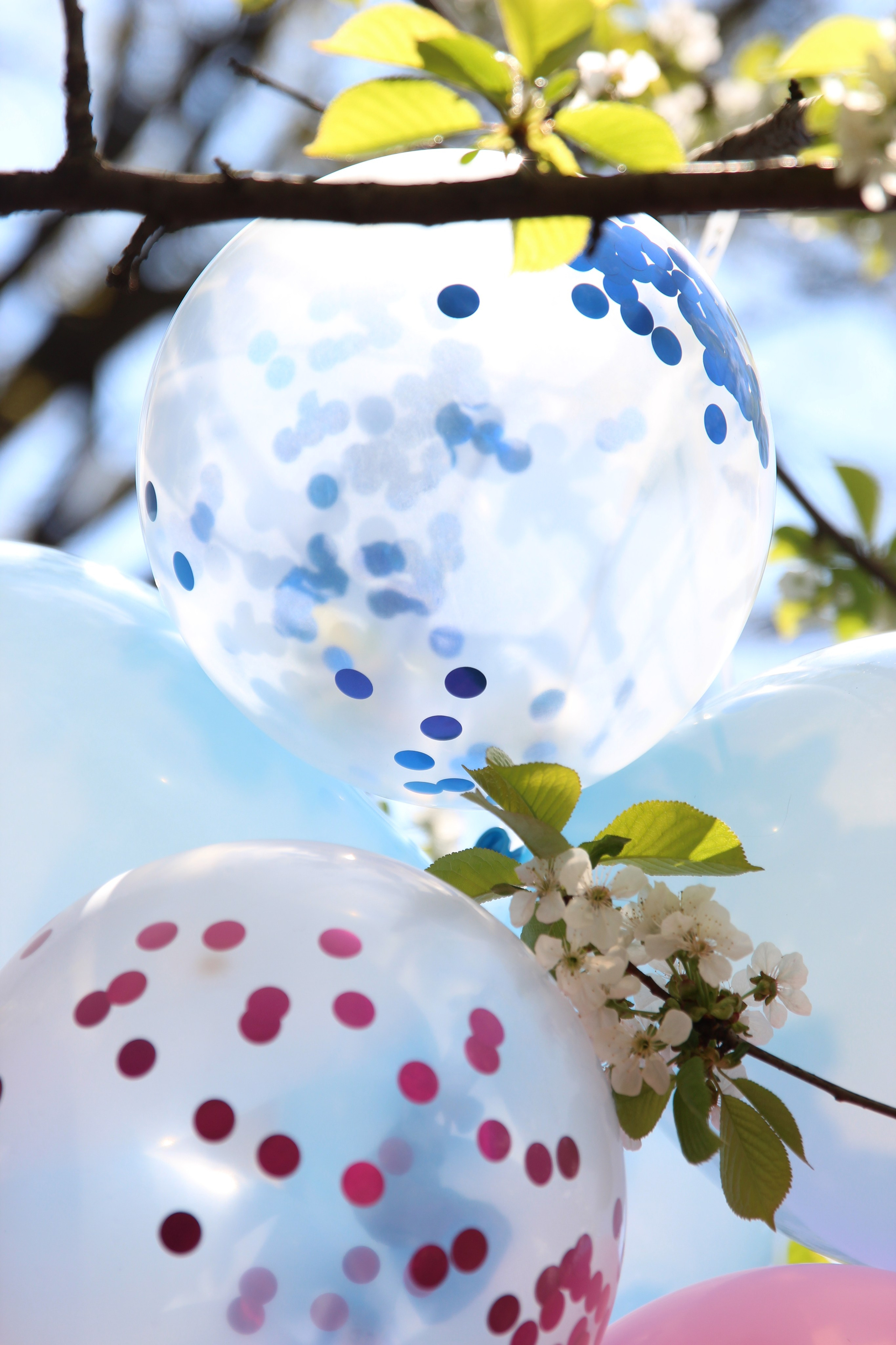 Гендер-пати в Мытищах. Ваш личный фотограф в Москве Мила