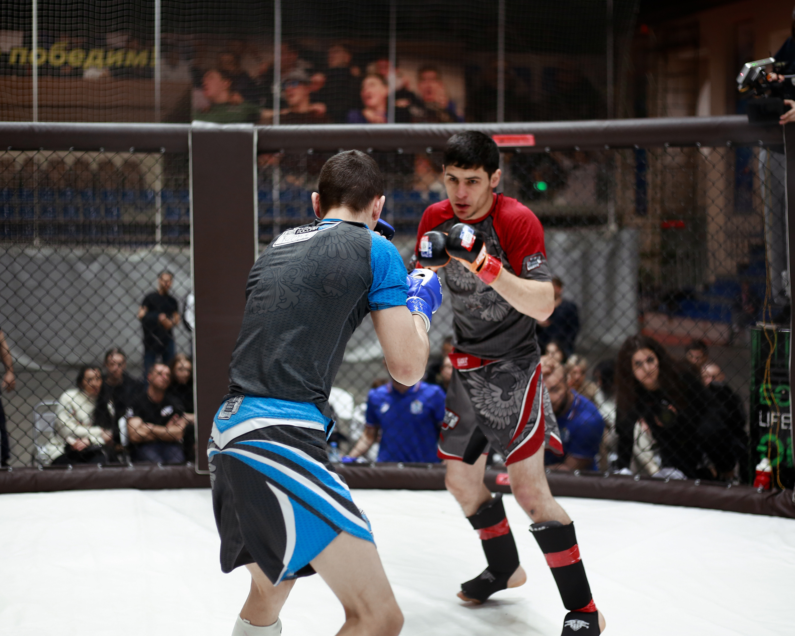 УРФО ММА. Больше не греет