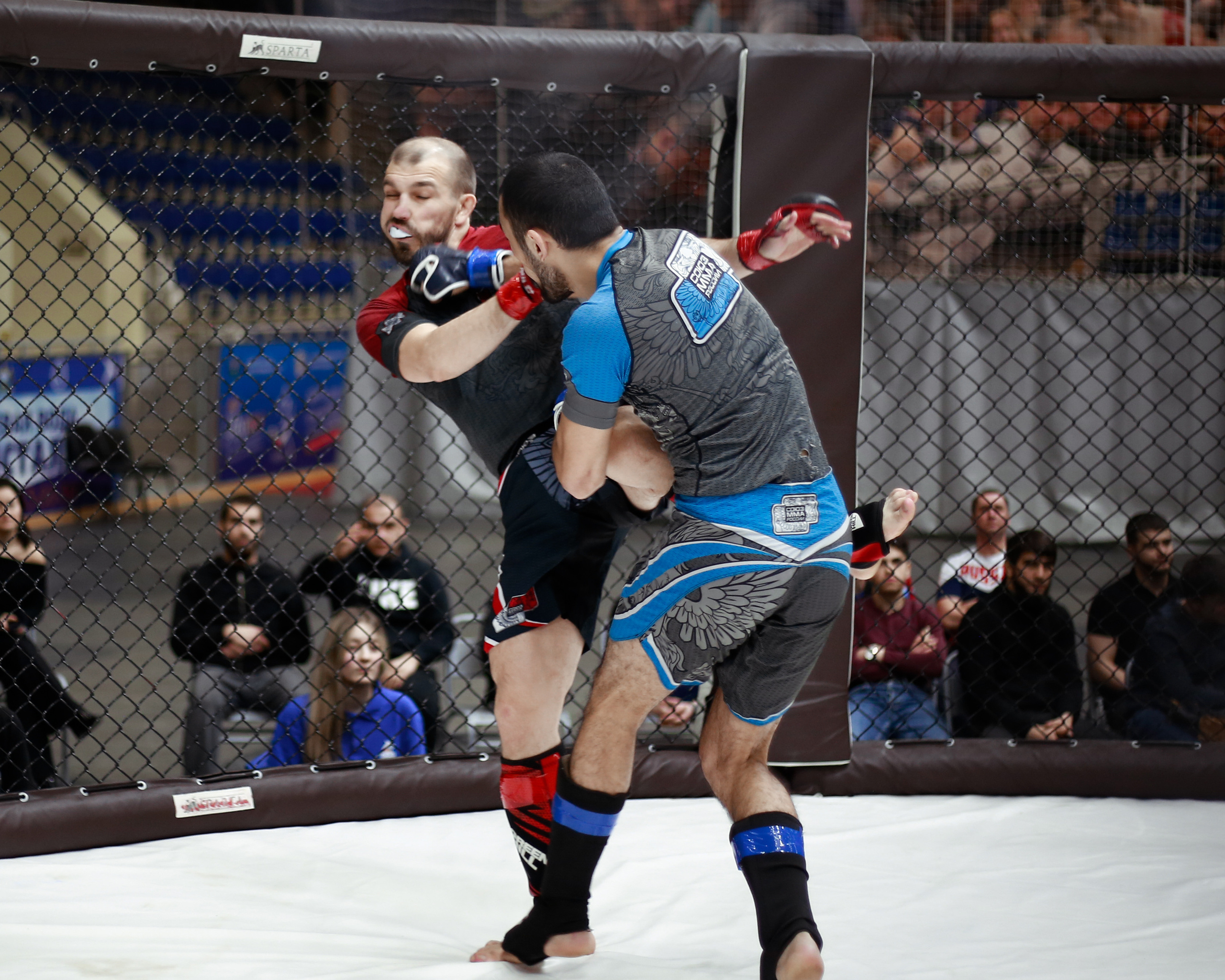 УРФО ММА. Больше не греет