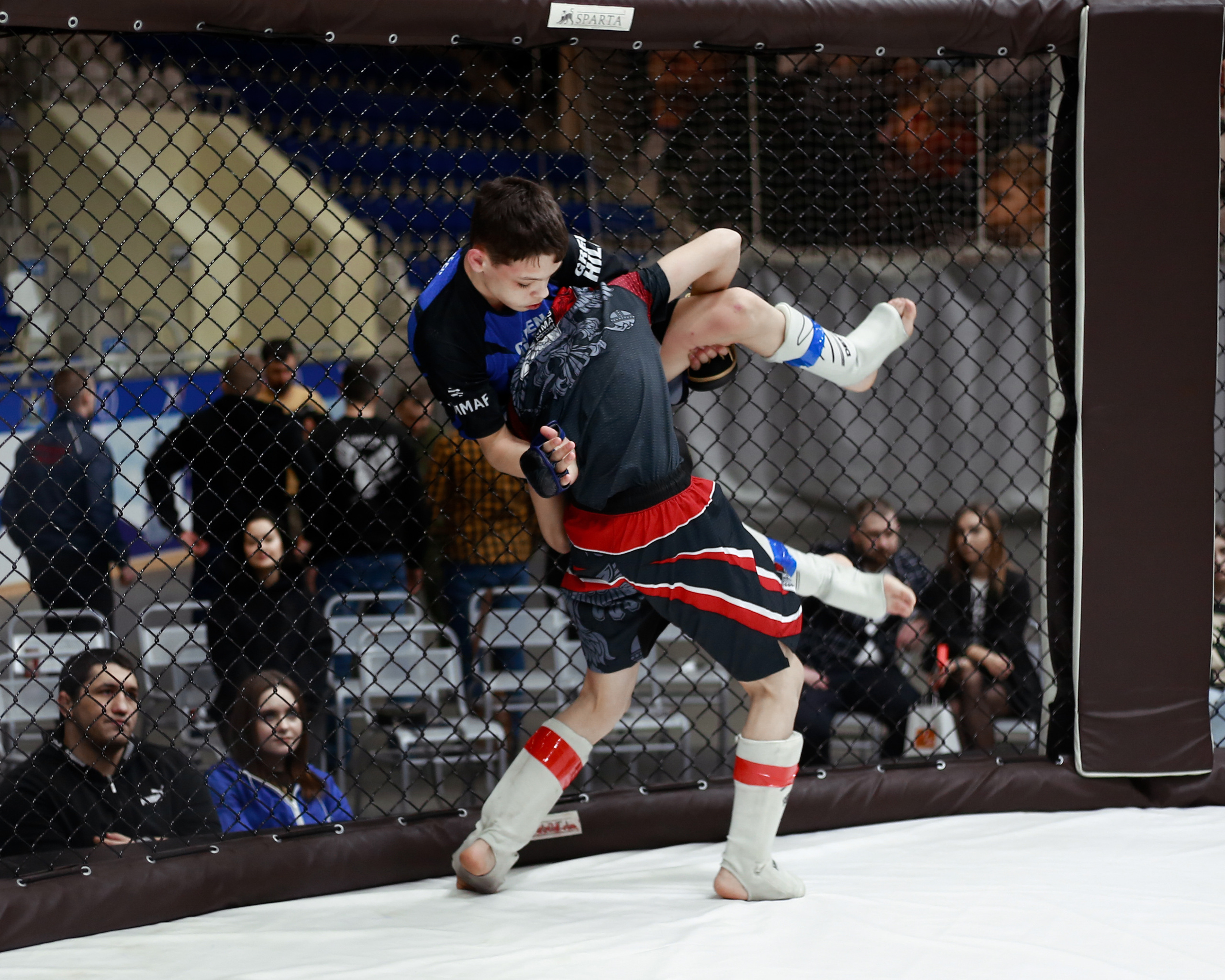 УРФО ММА. Больше не греет