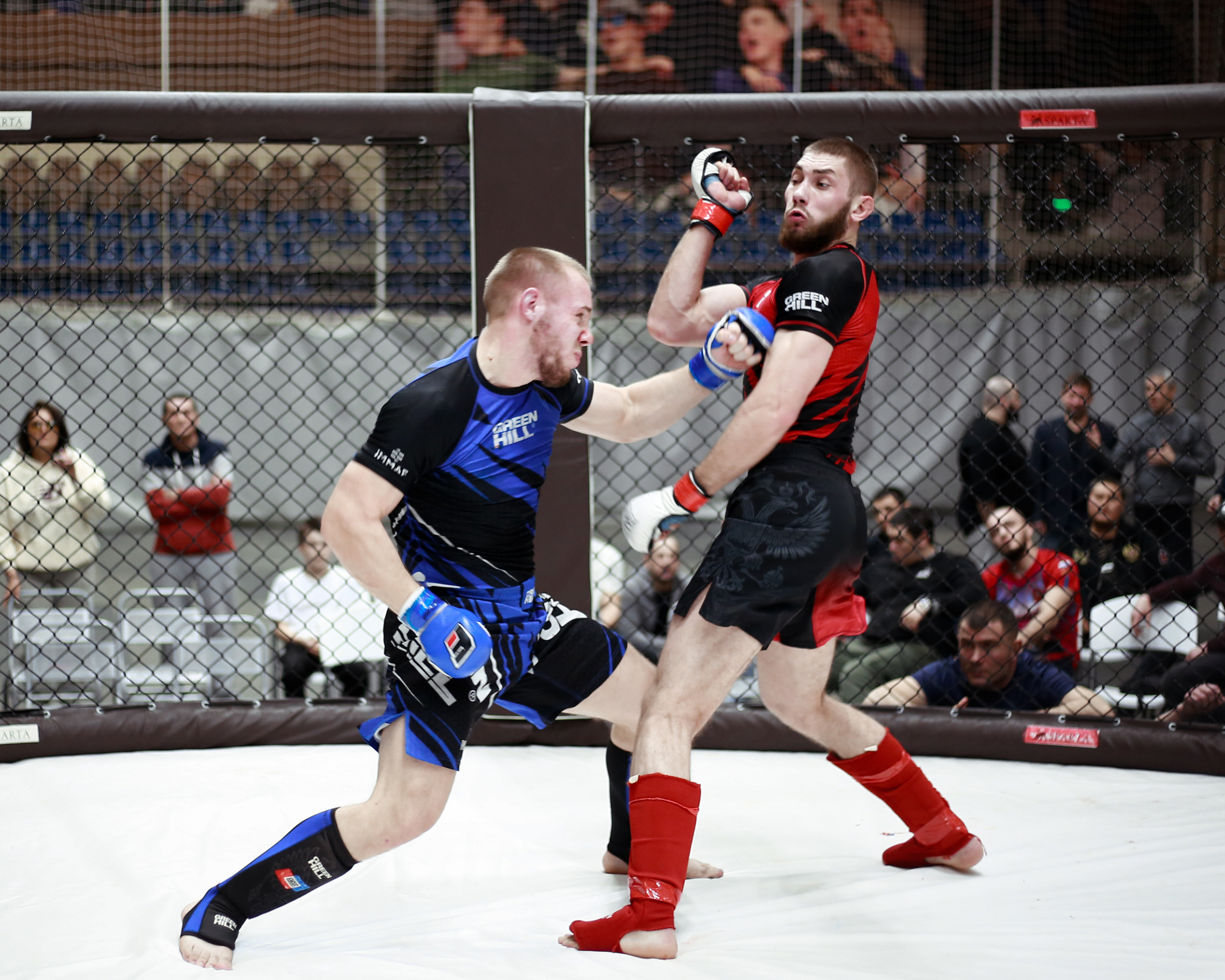 УРФО ММА. Больше не греет