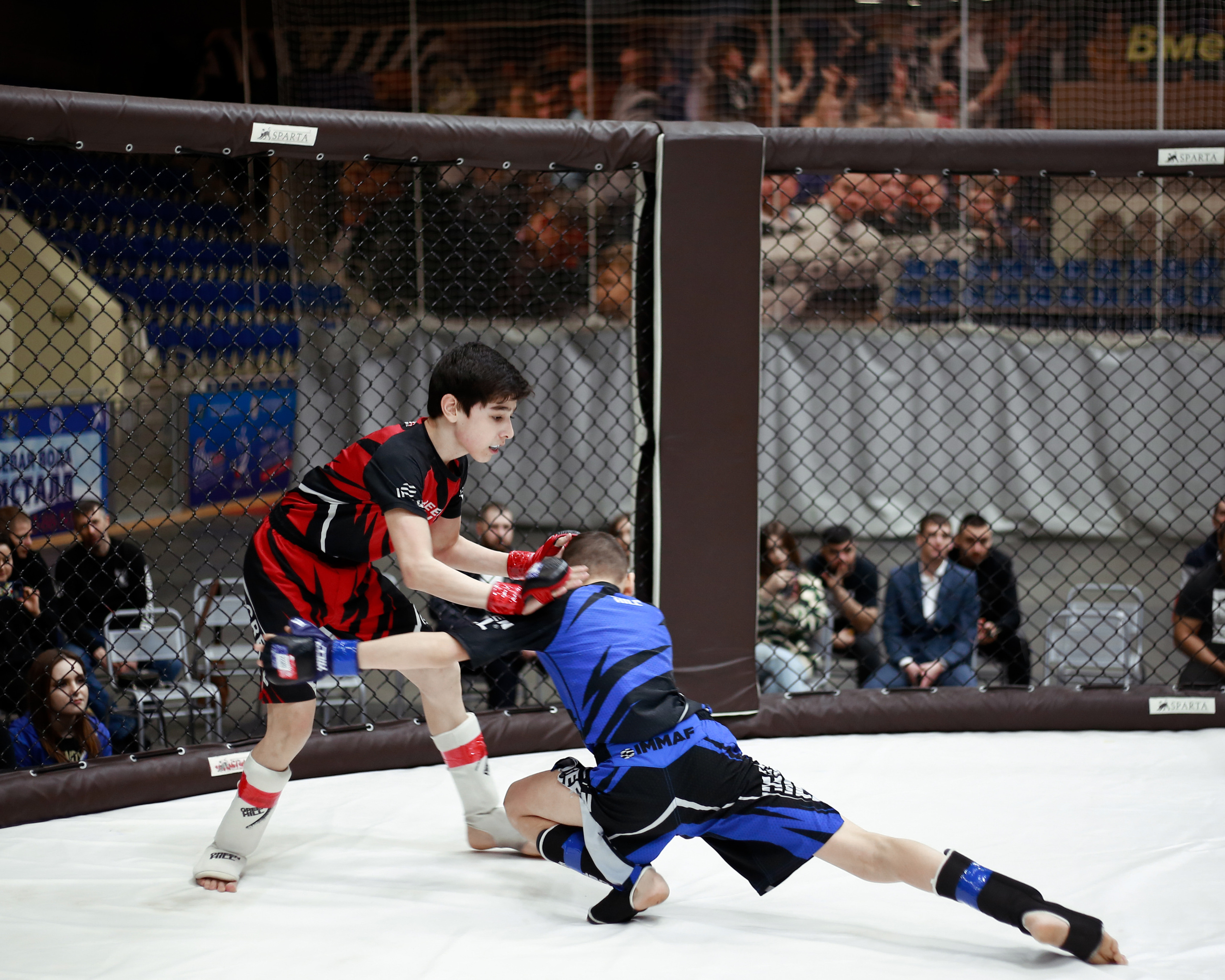 УРФО ММА. Больше не греет