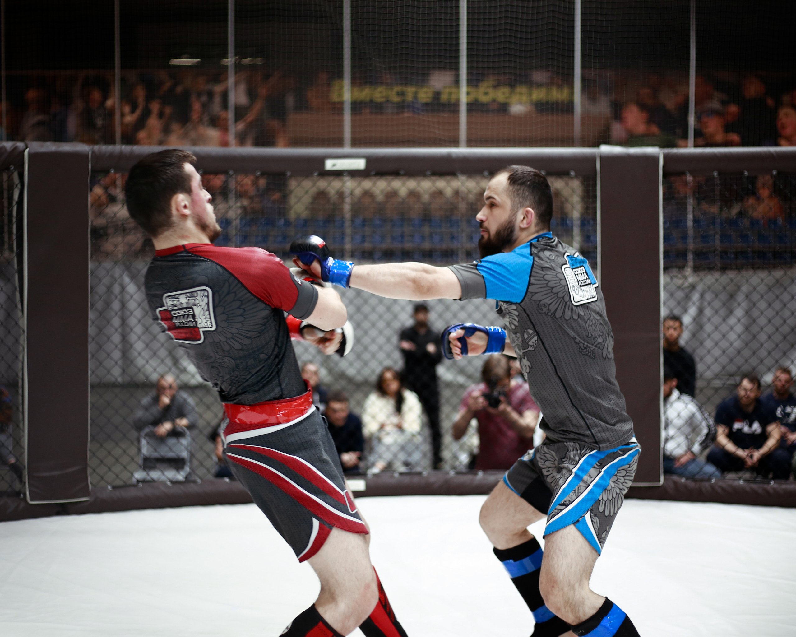 УРФО ММА. Больше не греет