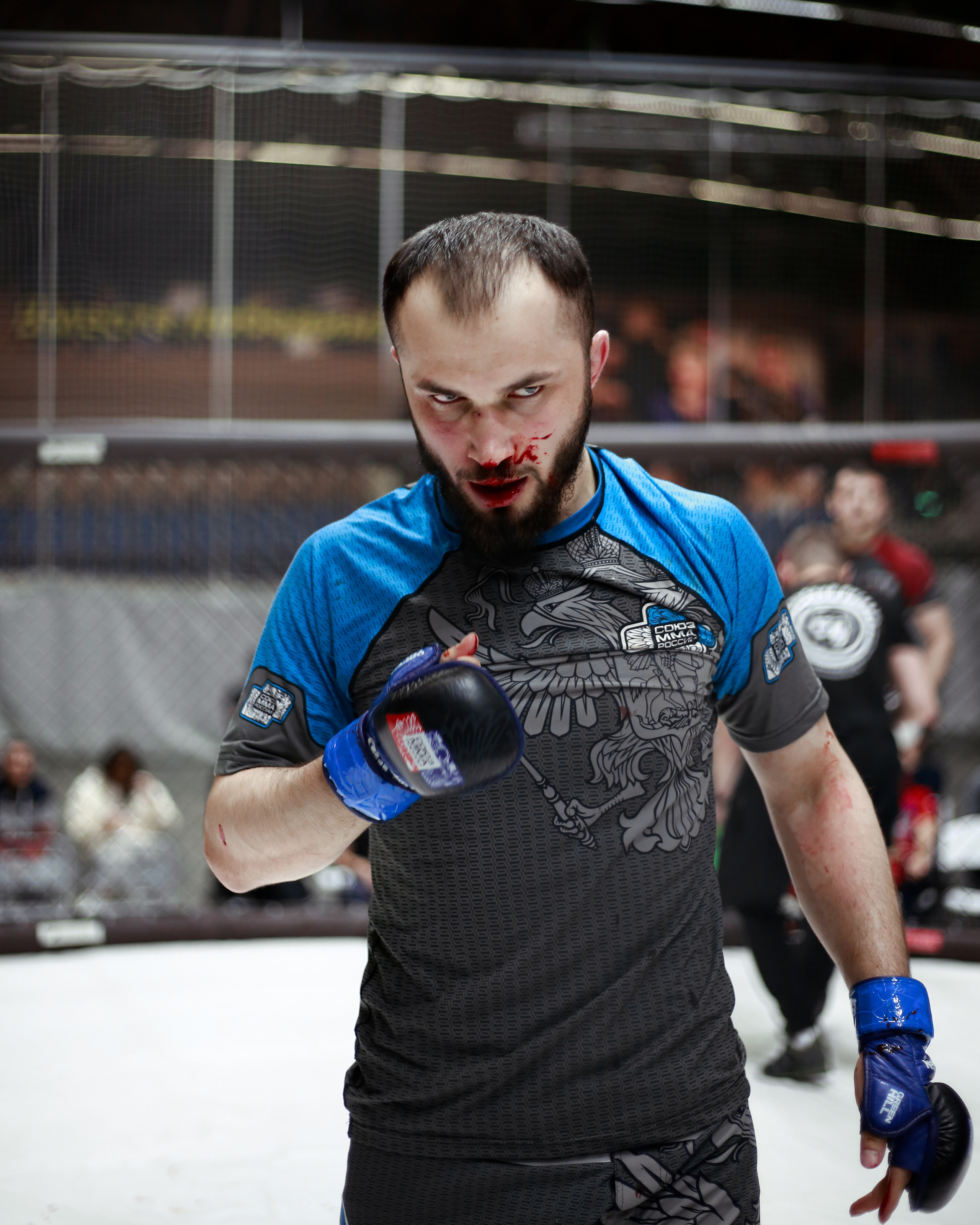 УРФО ММА. Больше не греет