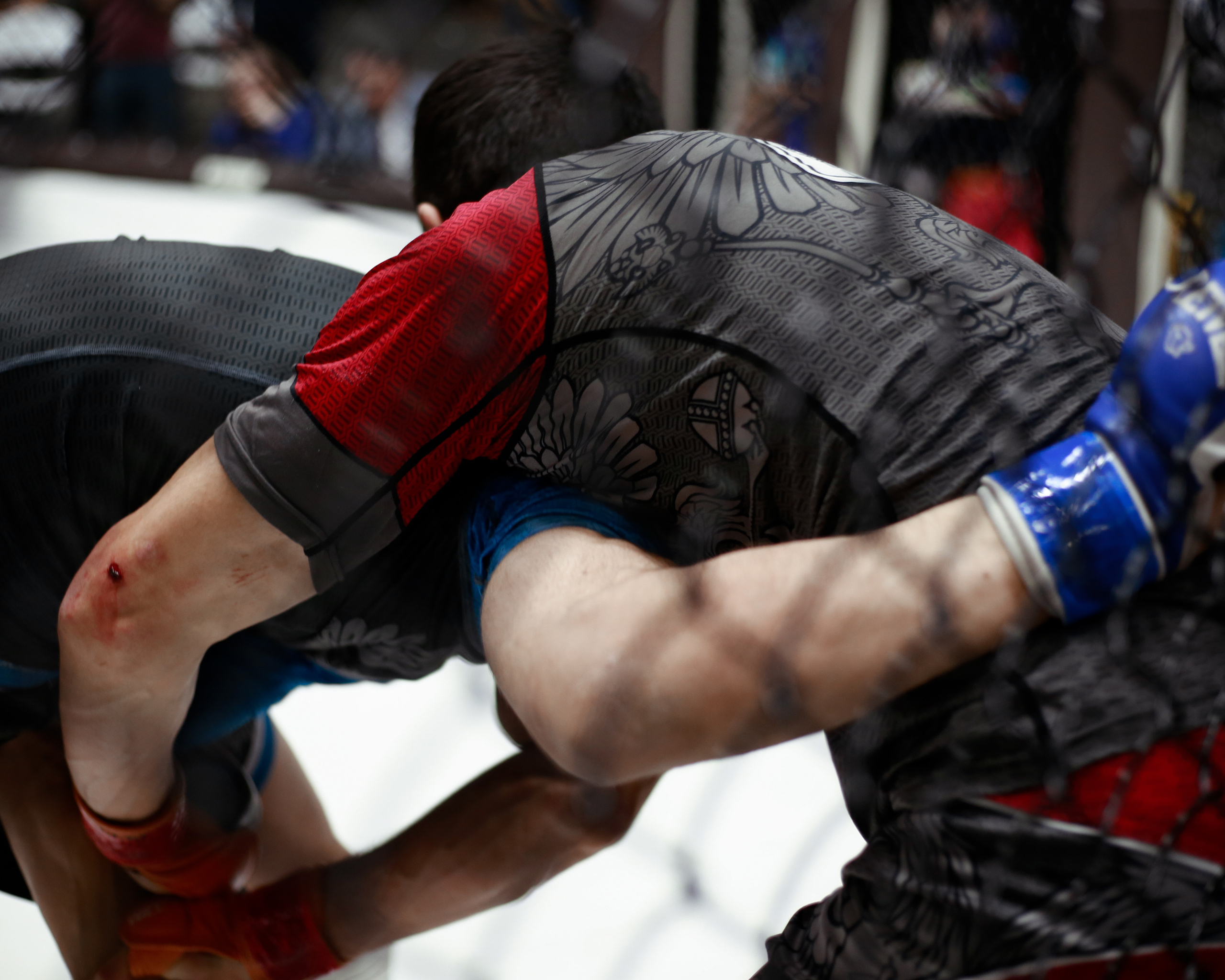 УРФО ММА. Больше не греет