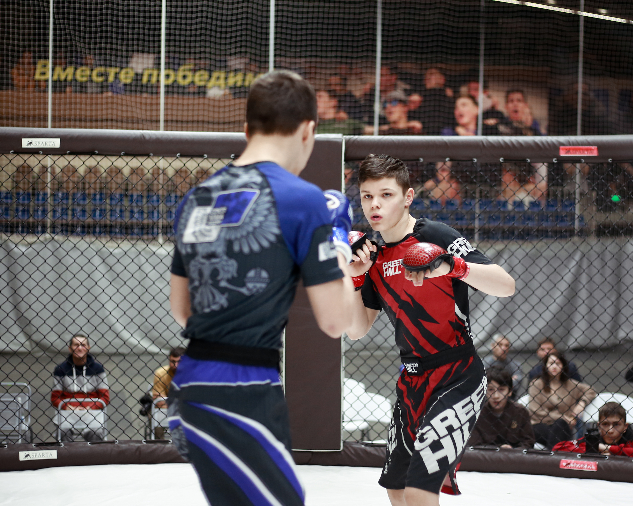 УРФО ММА. Больше не греет