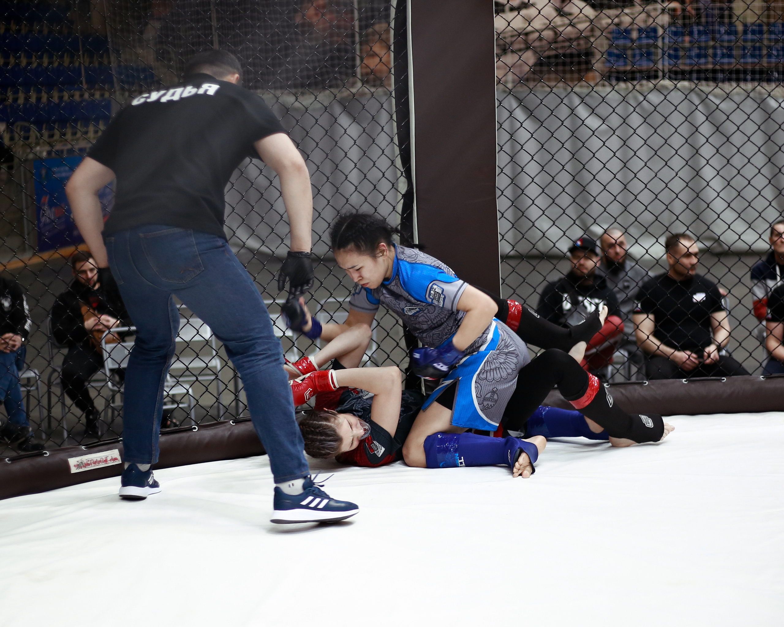 УРФО ММА. Больше не греет