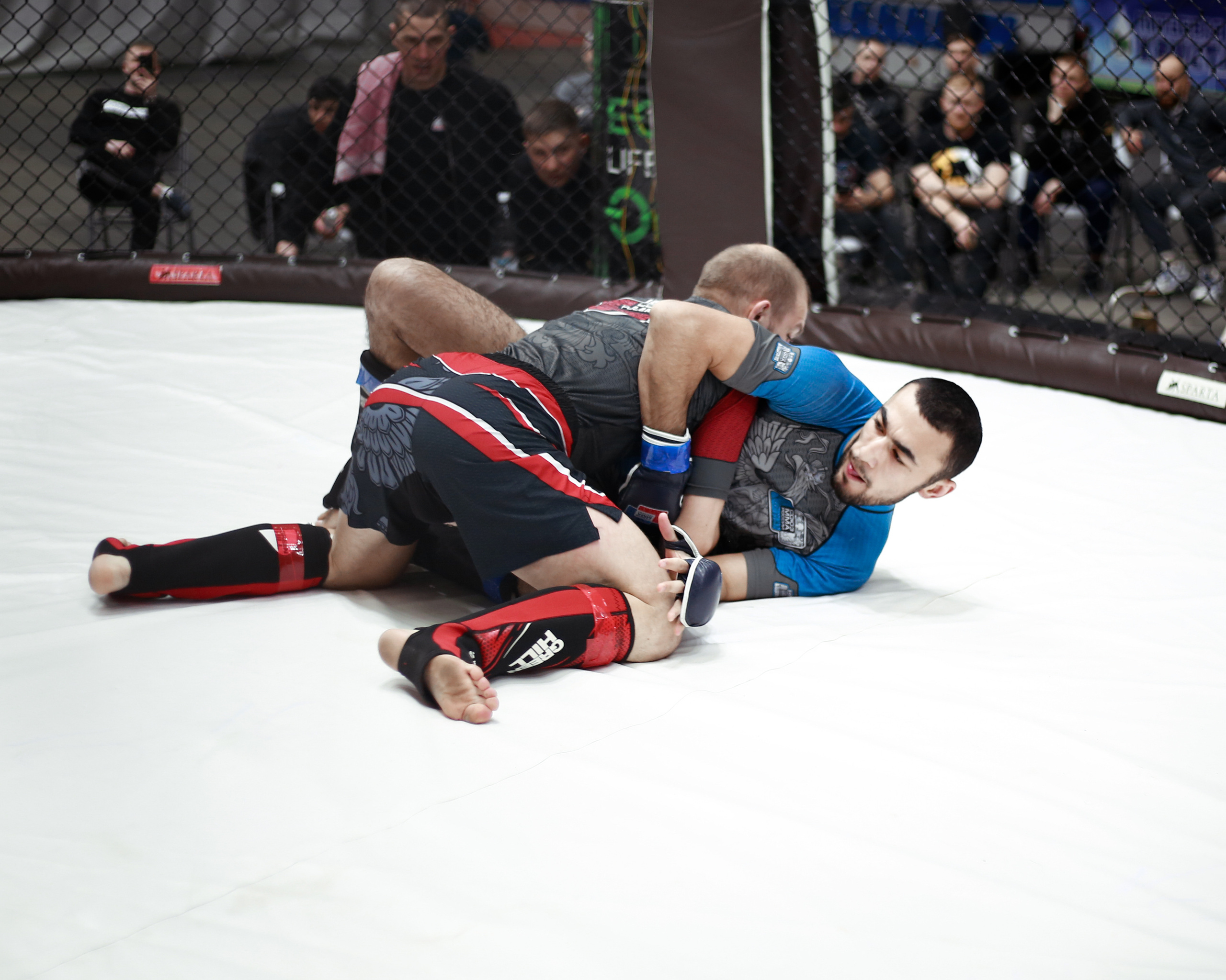 УРФО ММА. Больше не греет