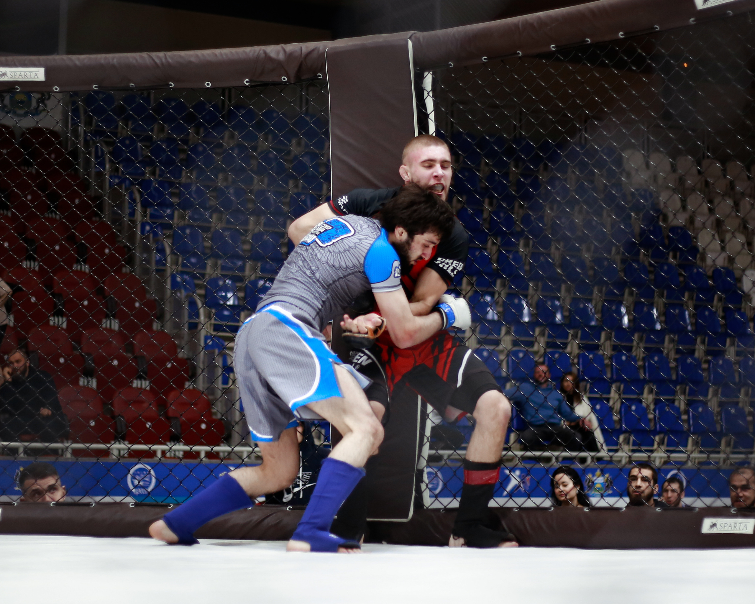 УРФО ММА. Больше не греет