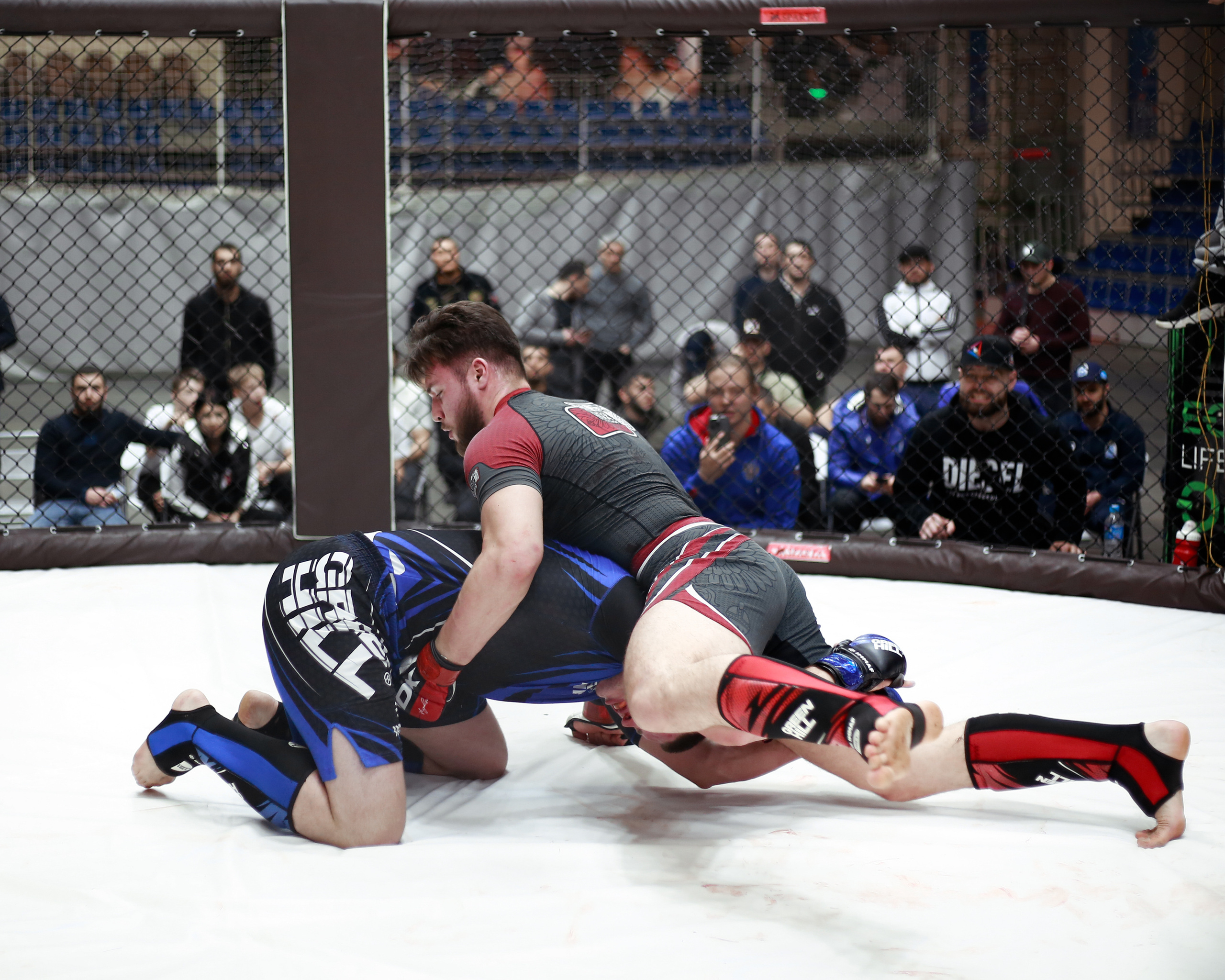 УРФО ММА. Больше не греет