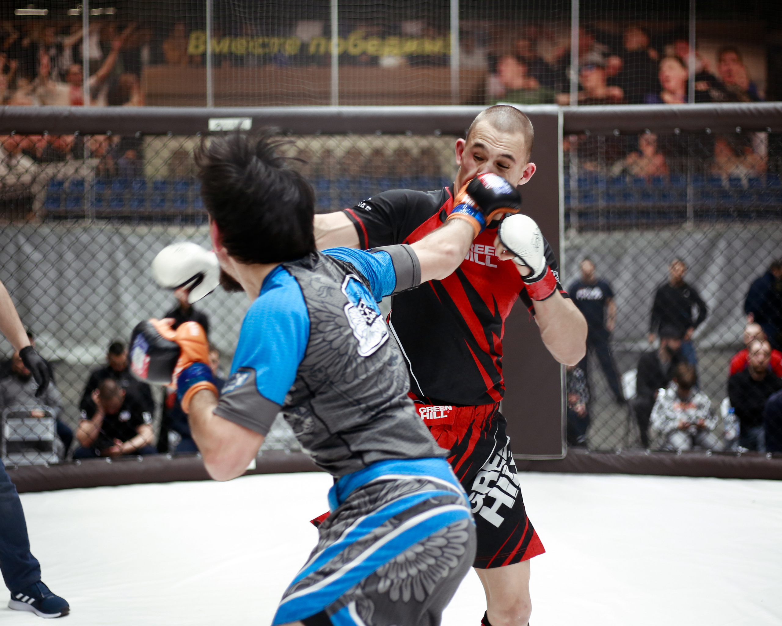 УРФО ММА. Больше не греет