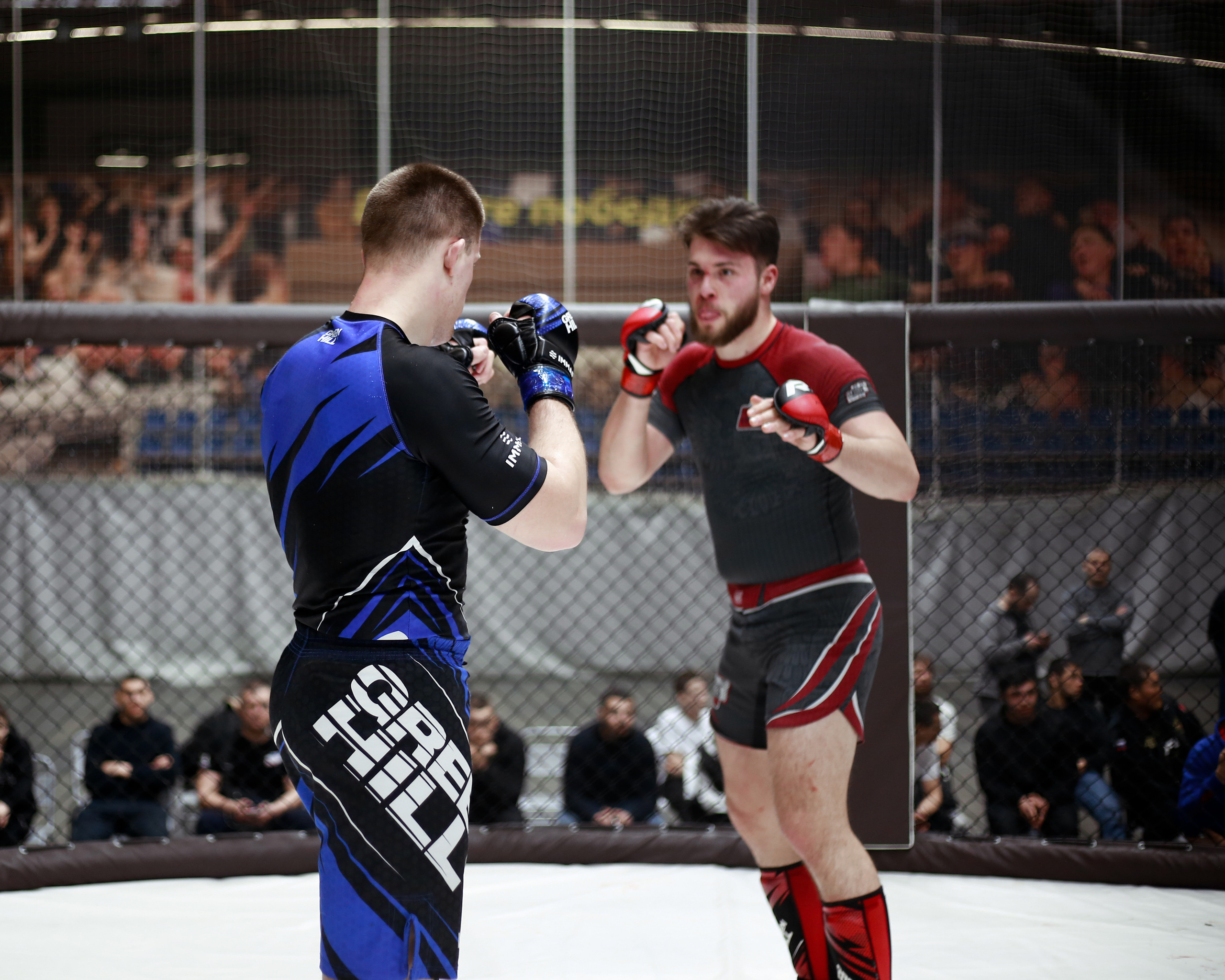 УРФО ММА. Больше не греет