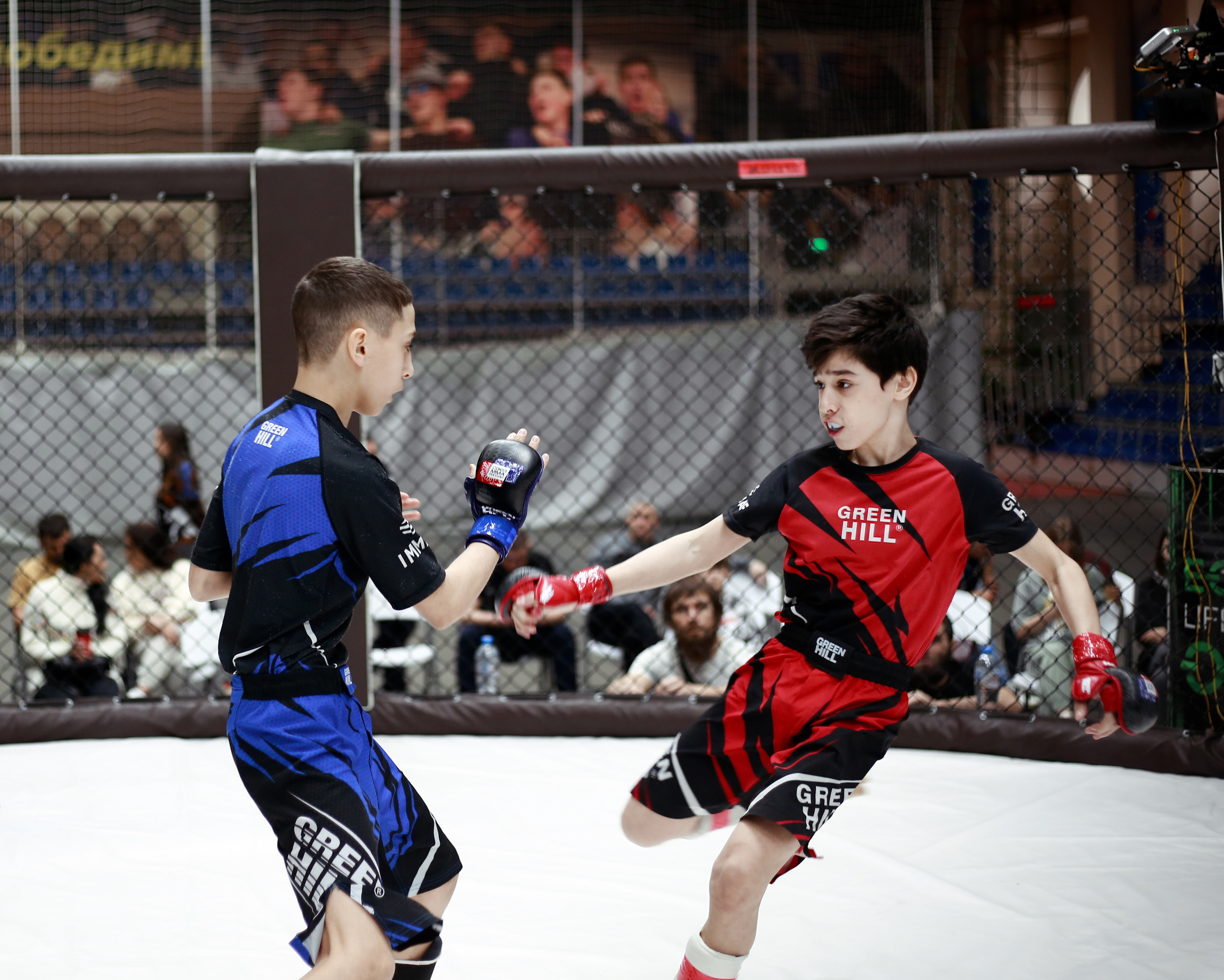 УРФО ММА. Больше не греет