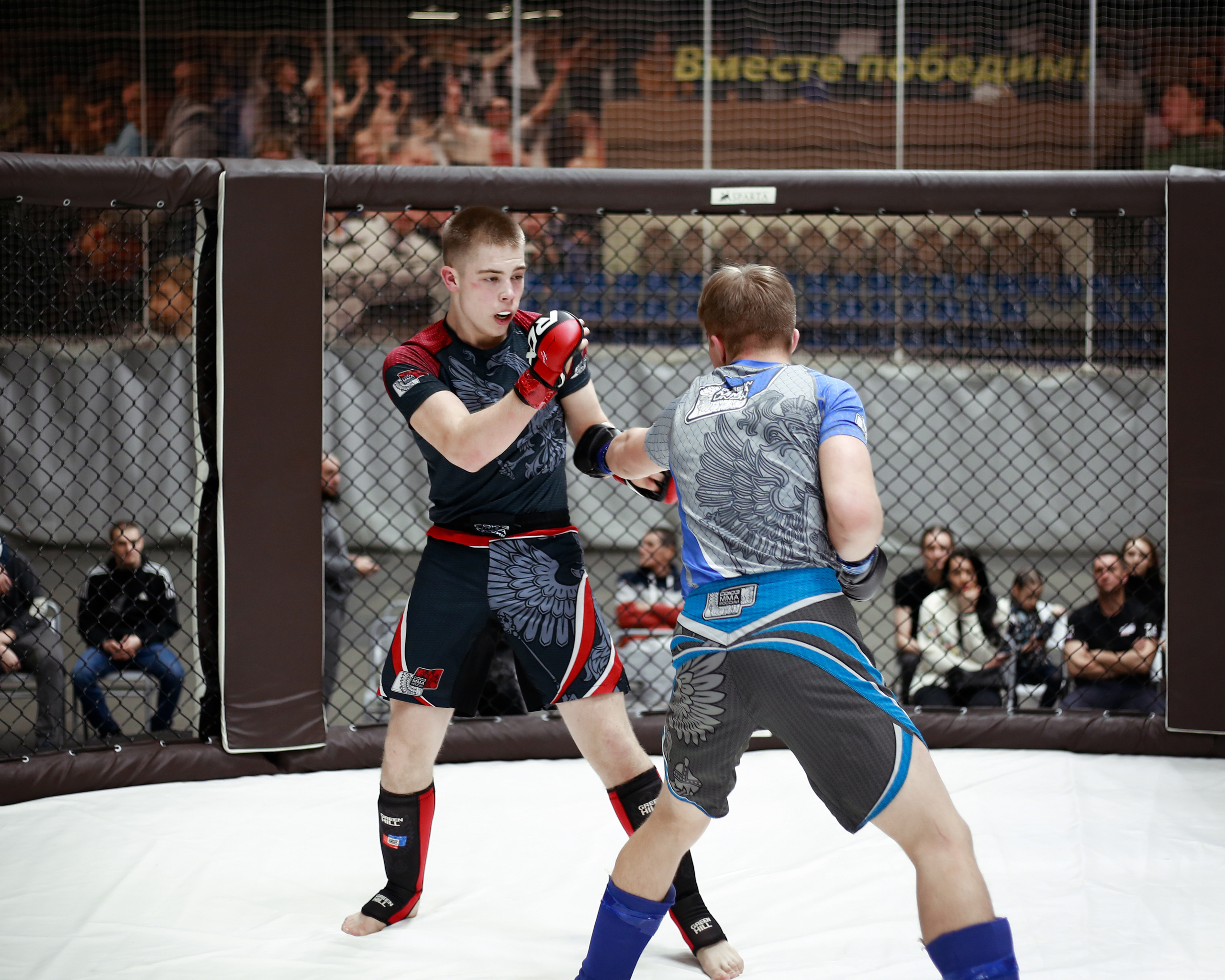 УРФО ММА. Больше не греет