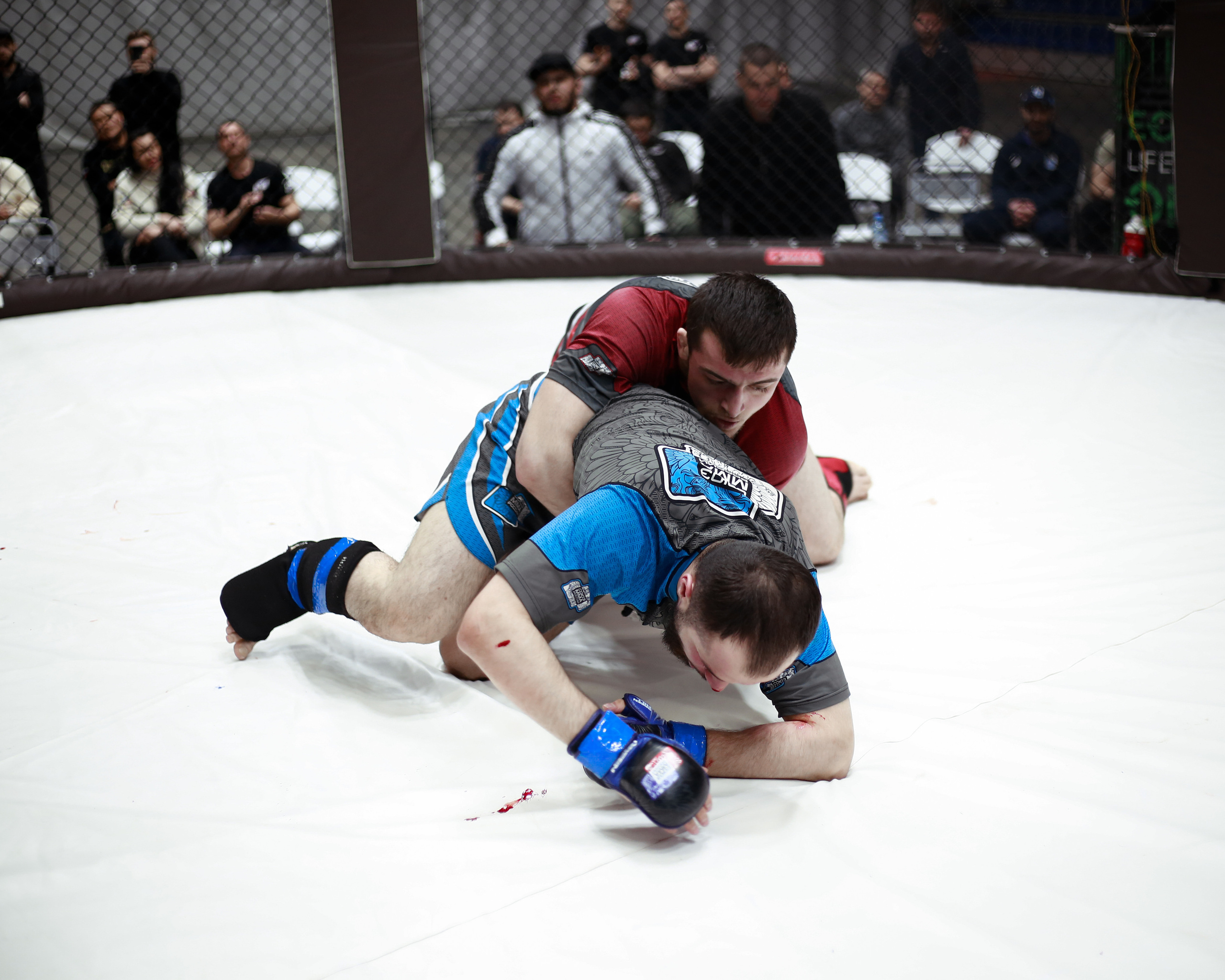 УРФО ММА. Больше не греет