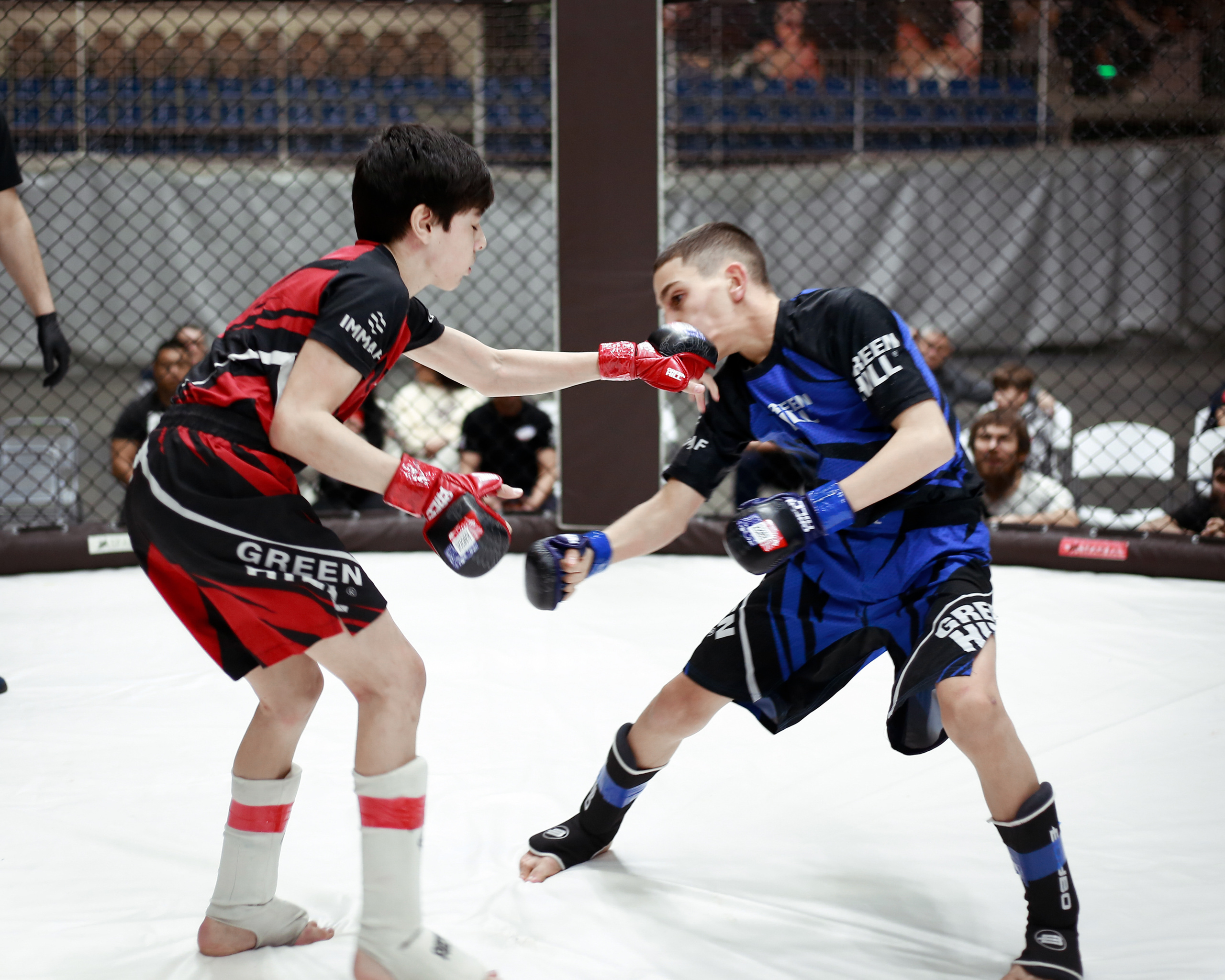 УРФО ММА. Больше не греет