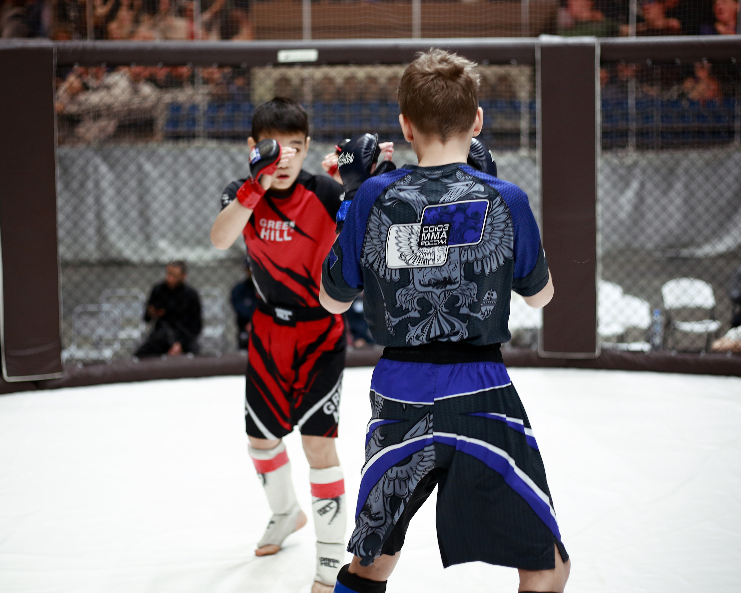 УРФО ММА. Больше не греет