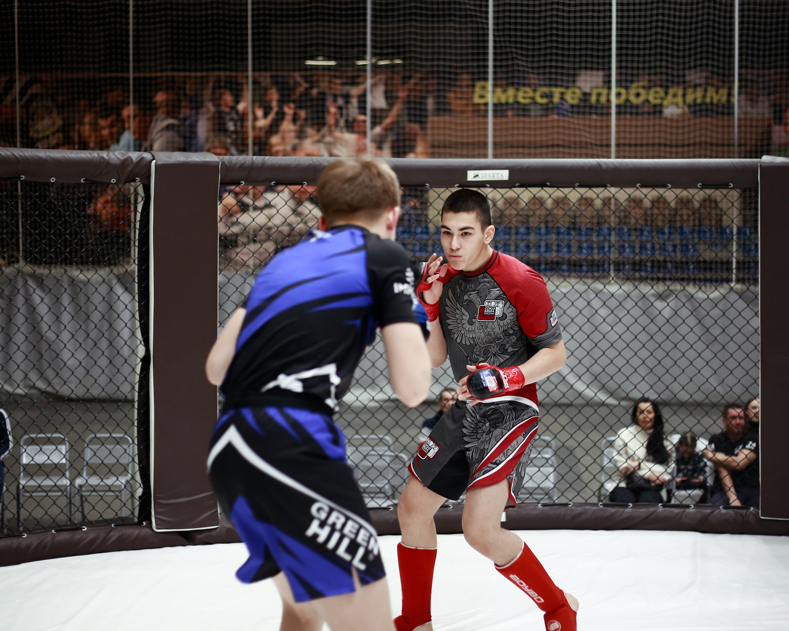 УРФО ММА. Больше не греет