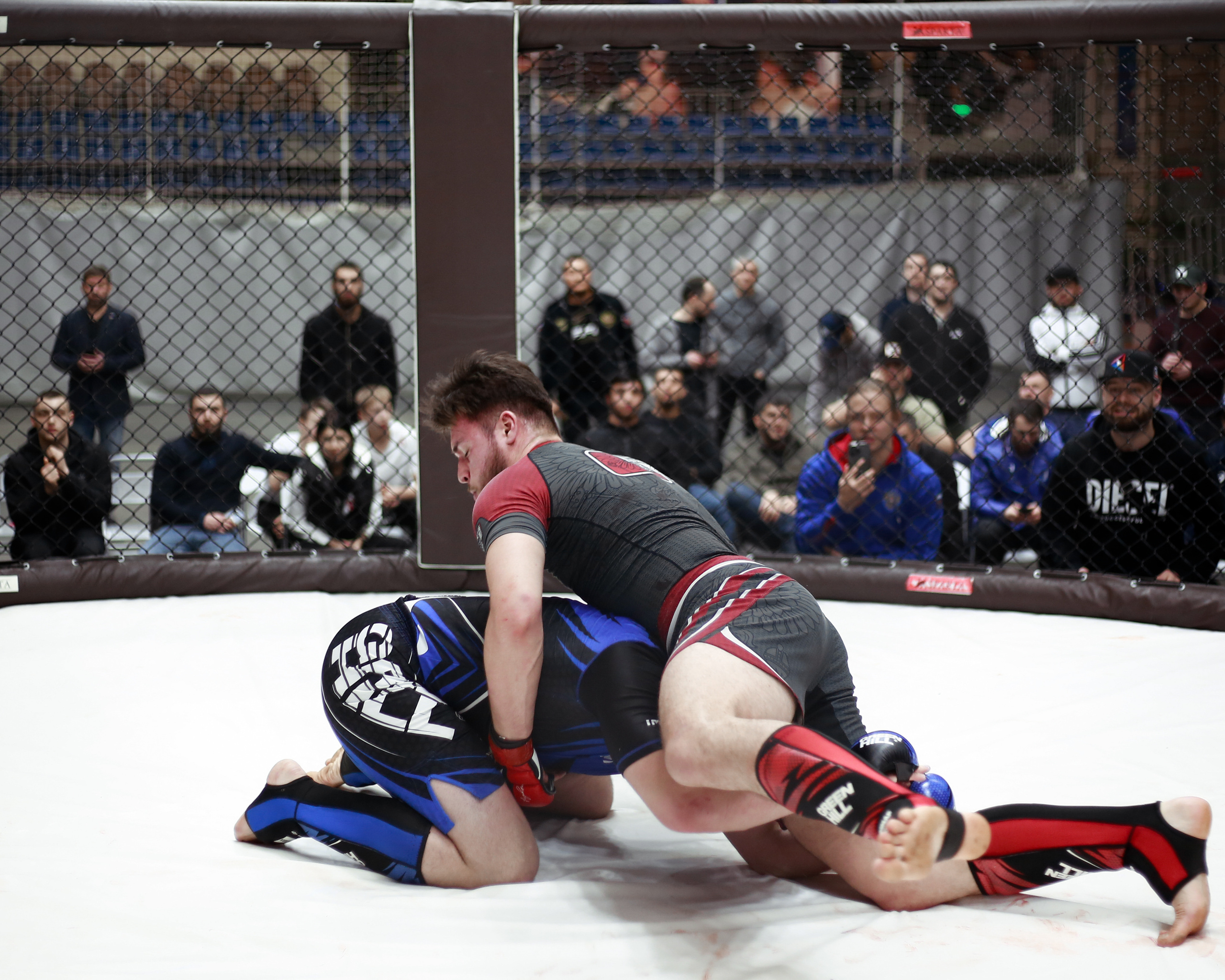 УРФО ММА. Больше не греет