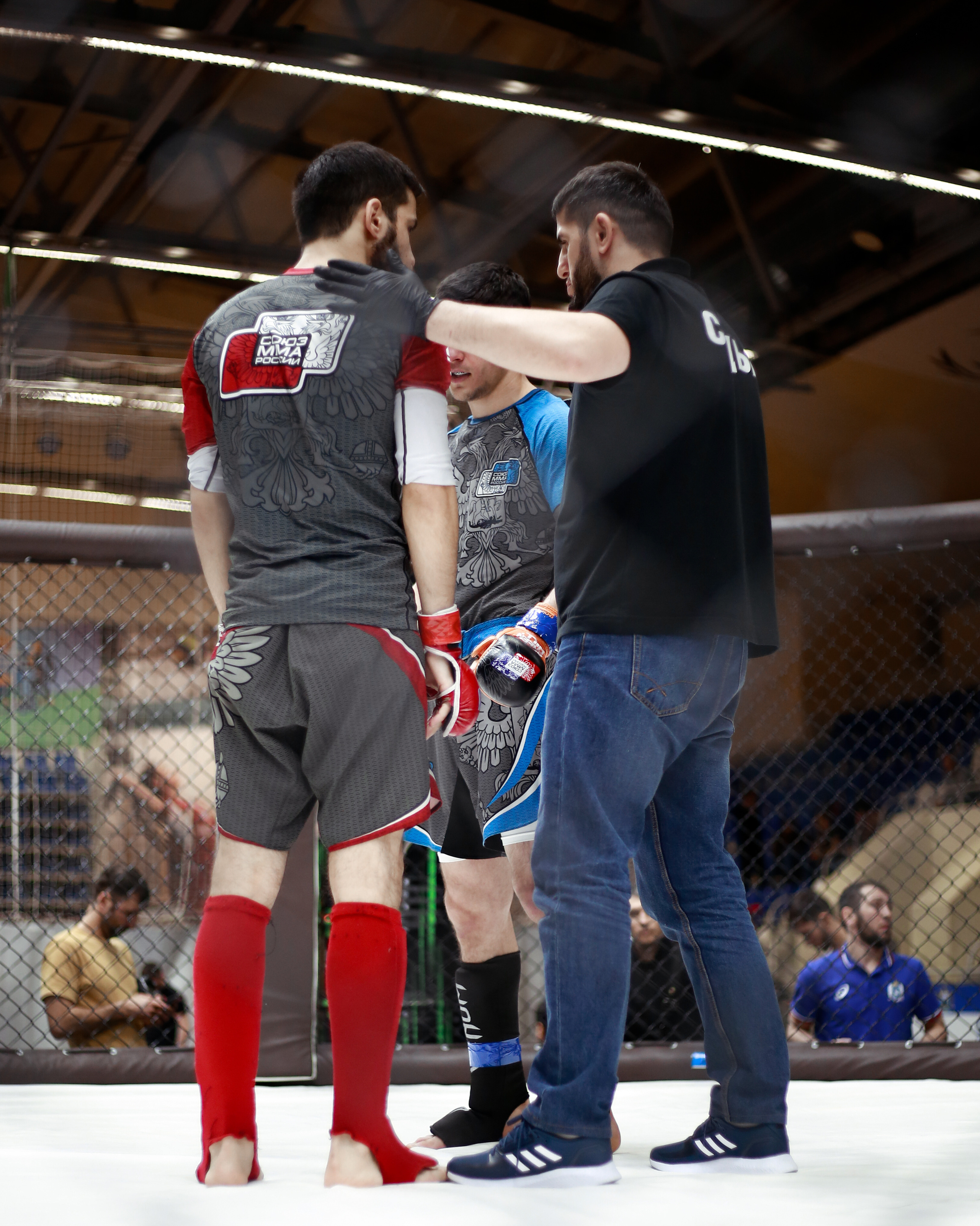 УРФО ММА. Больше не греет