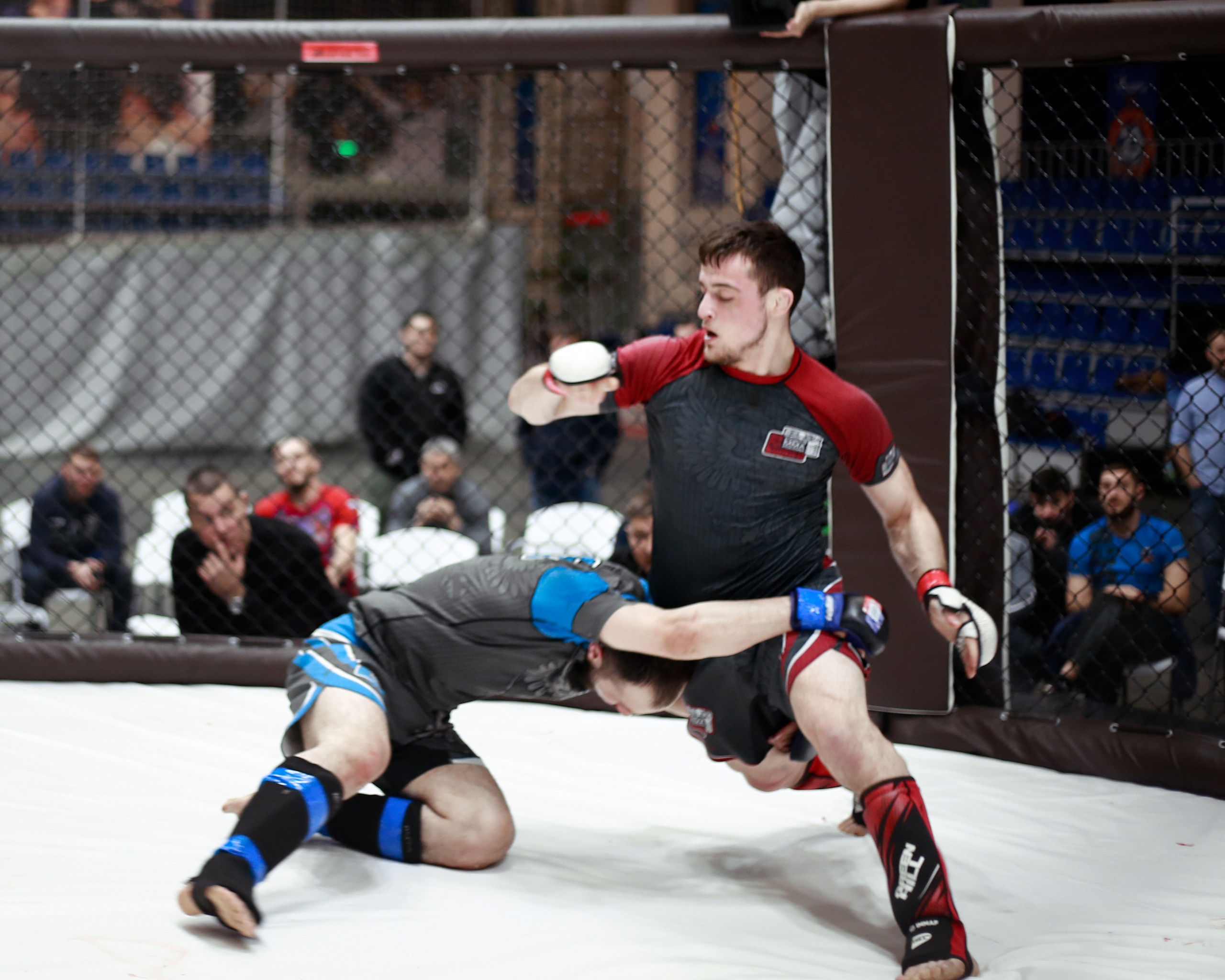 УРФО ММА. Больше не греет