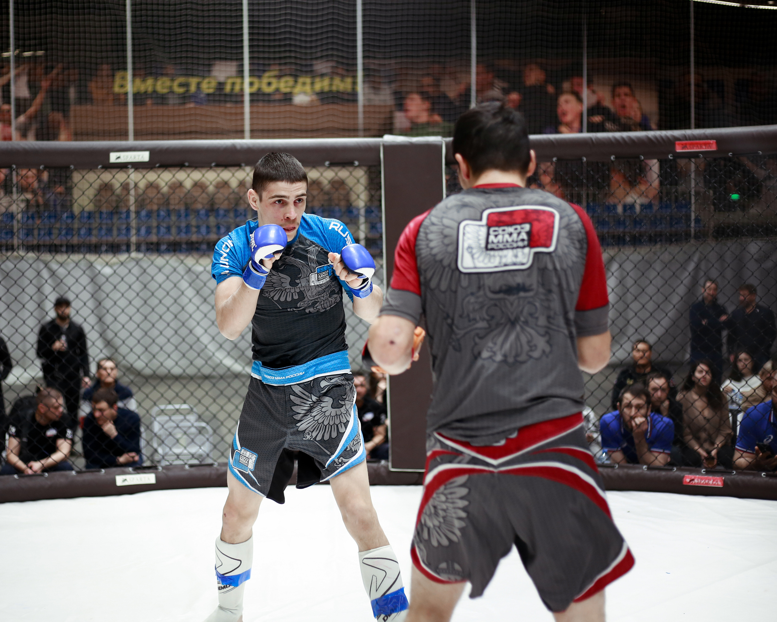 УРФО ММА. Больше не греет