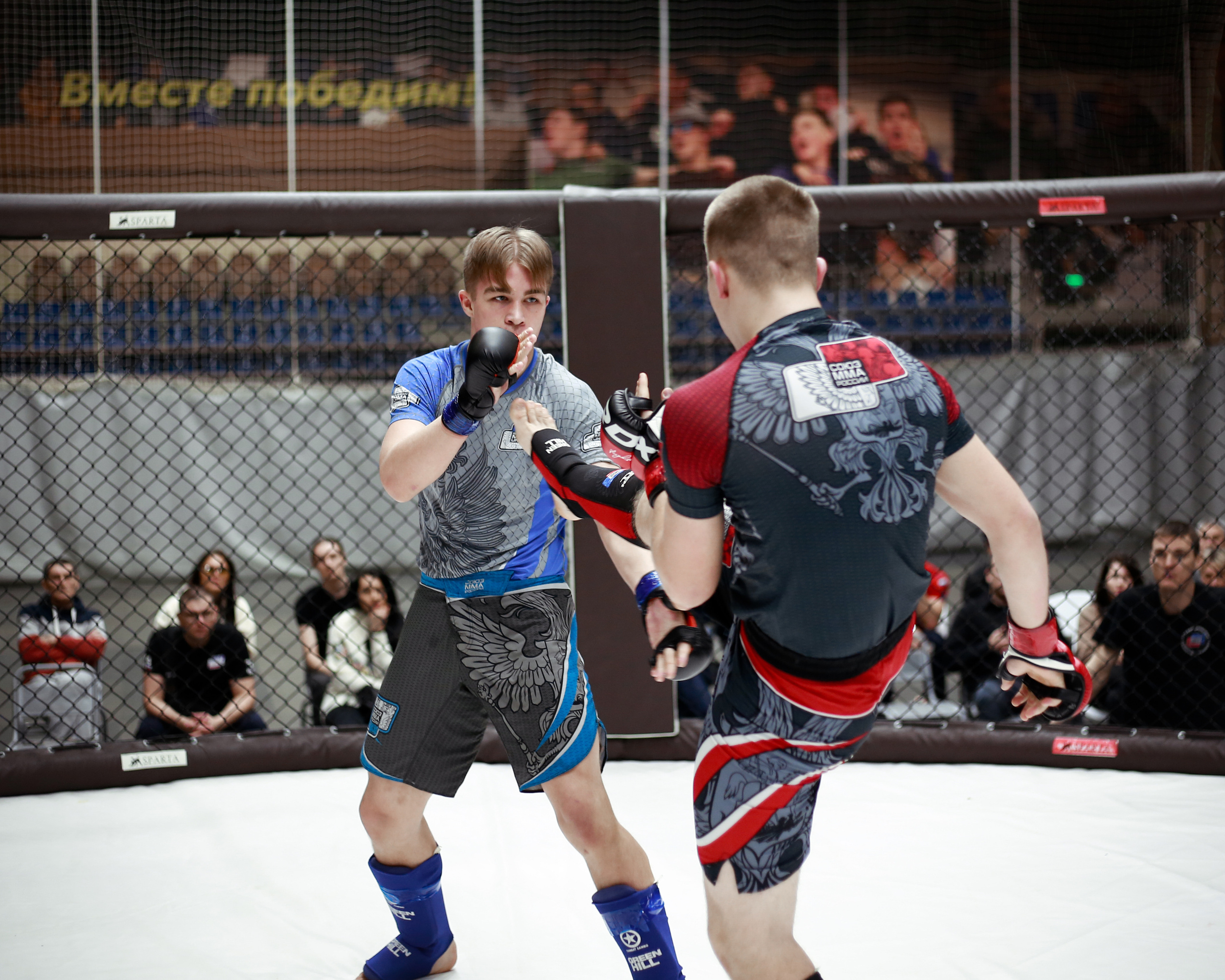 УРФО ММА. Больше не греет