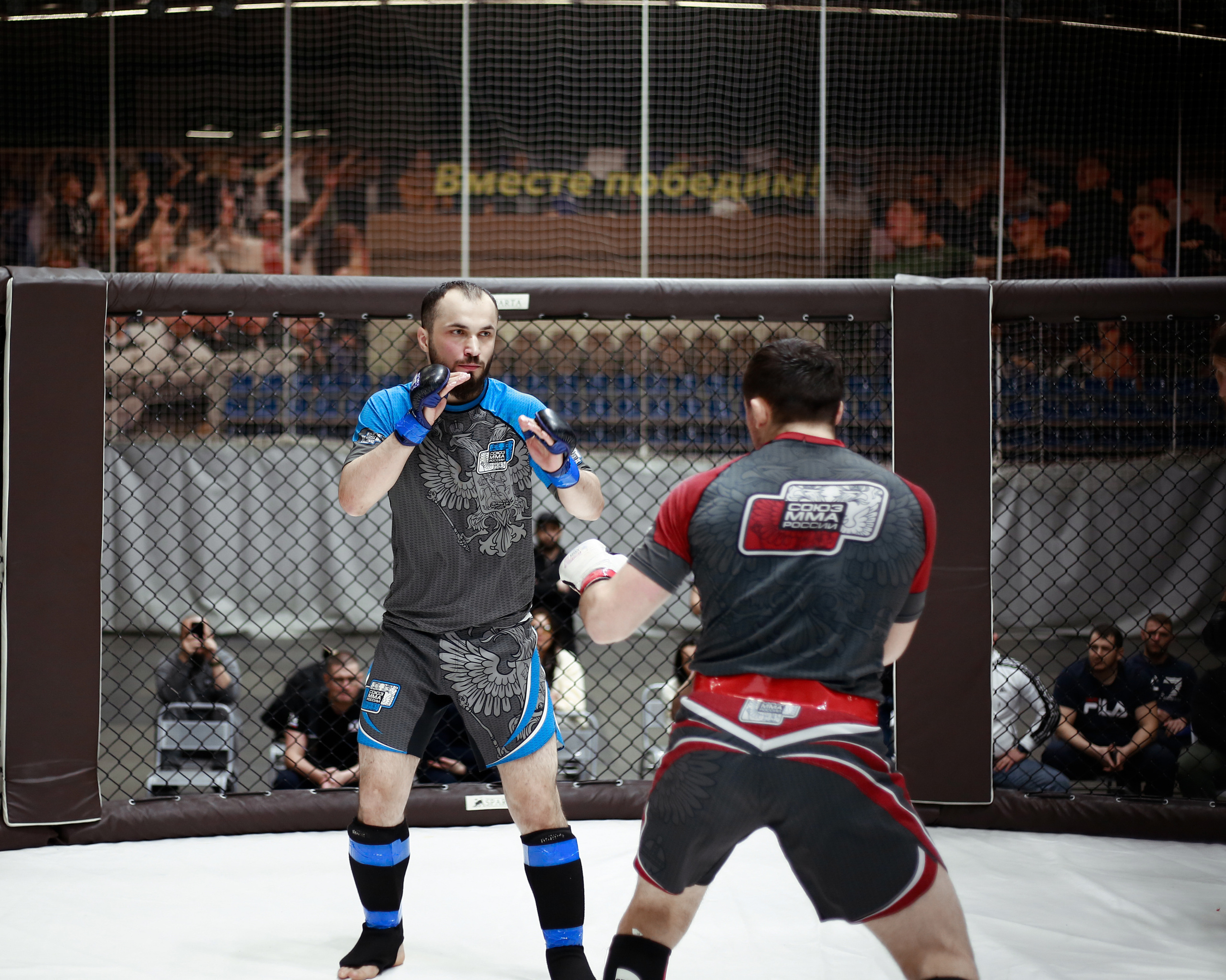 УРФО ММА. Больше не греет