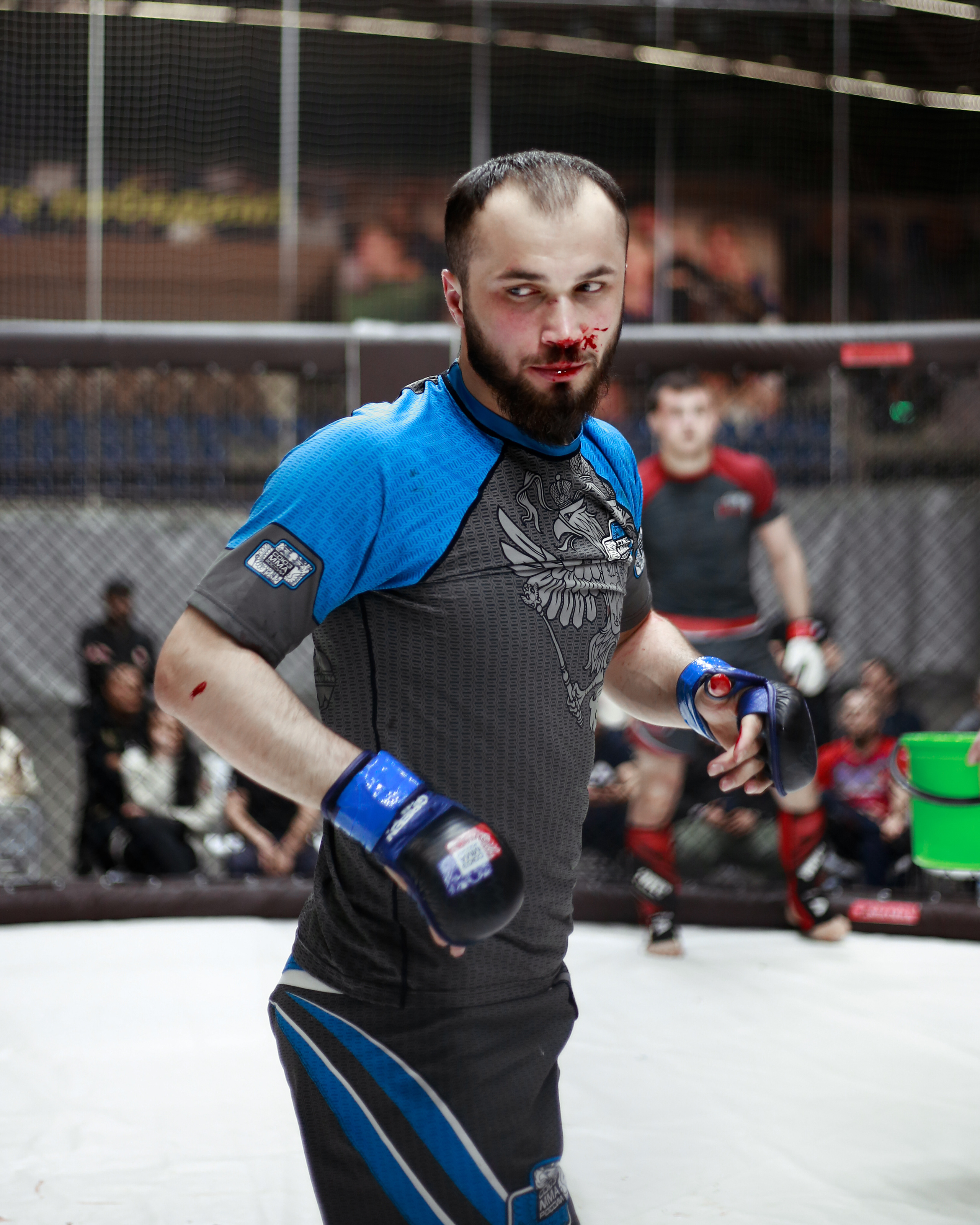 УРФО ММА. Больше не греет