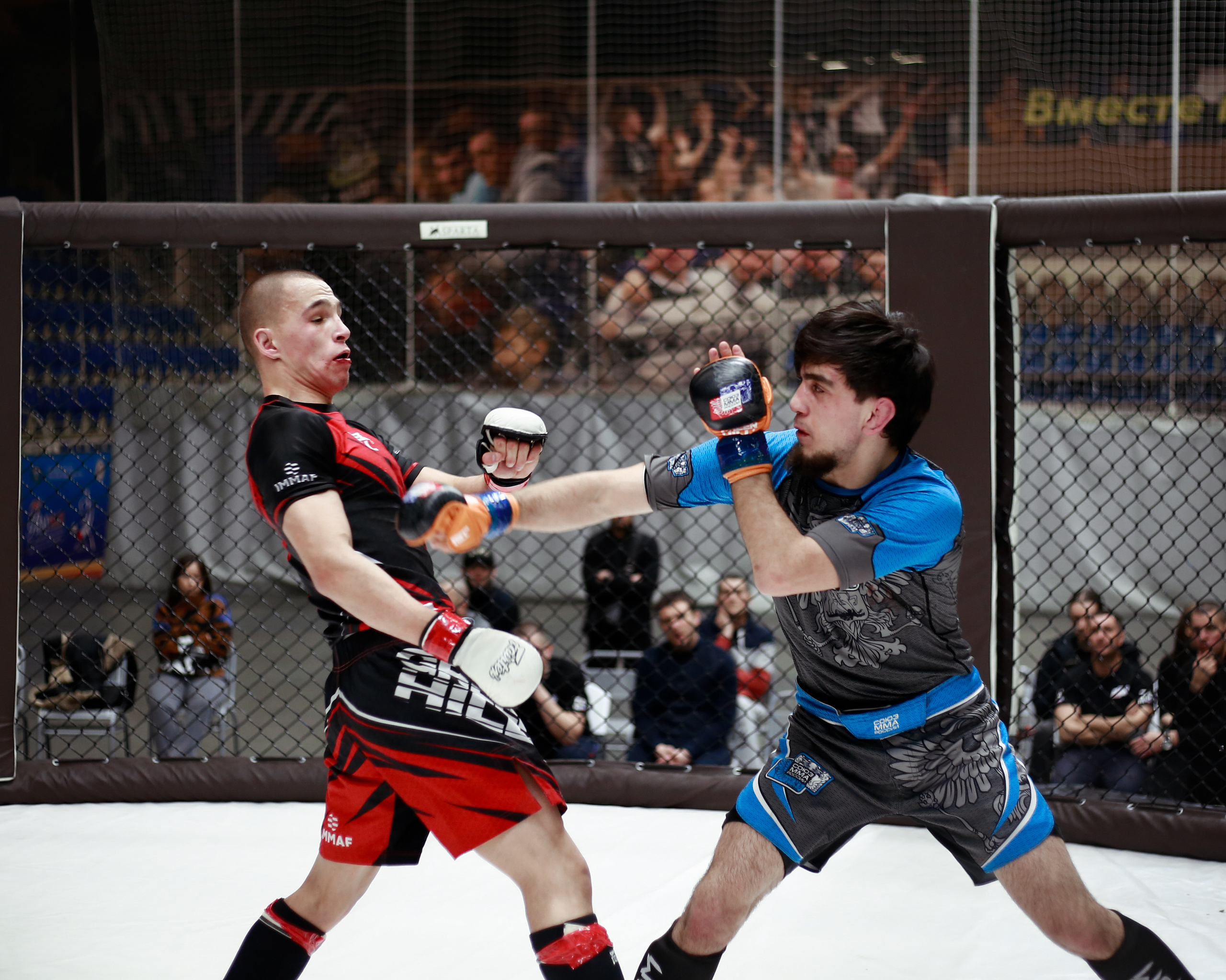 УРФО ММА. Больше не греет