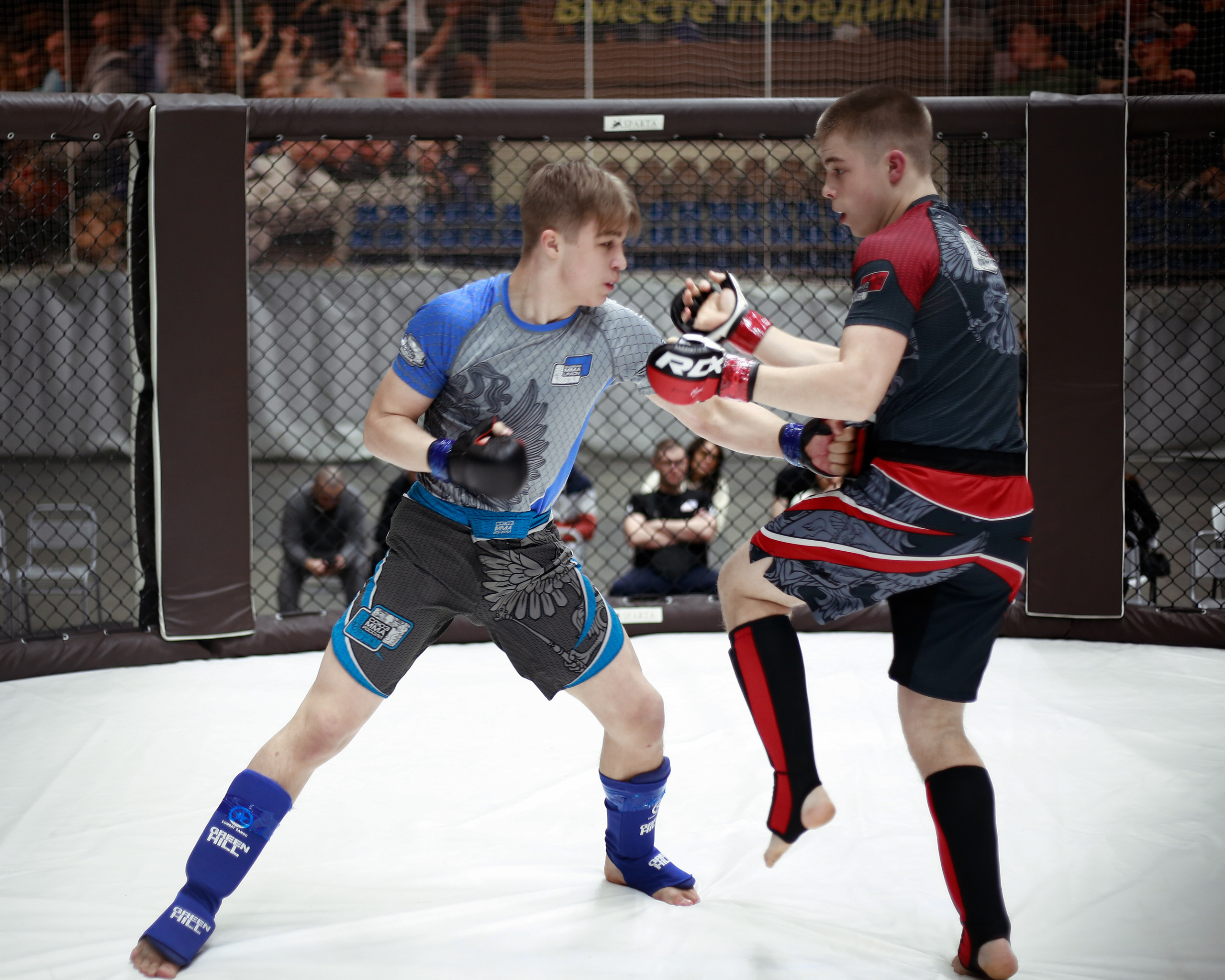 УРФО ММА. Больше не греет