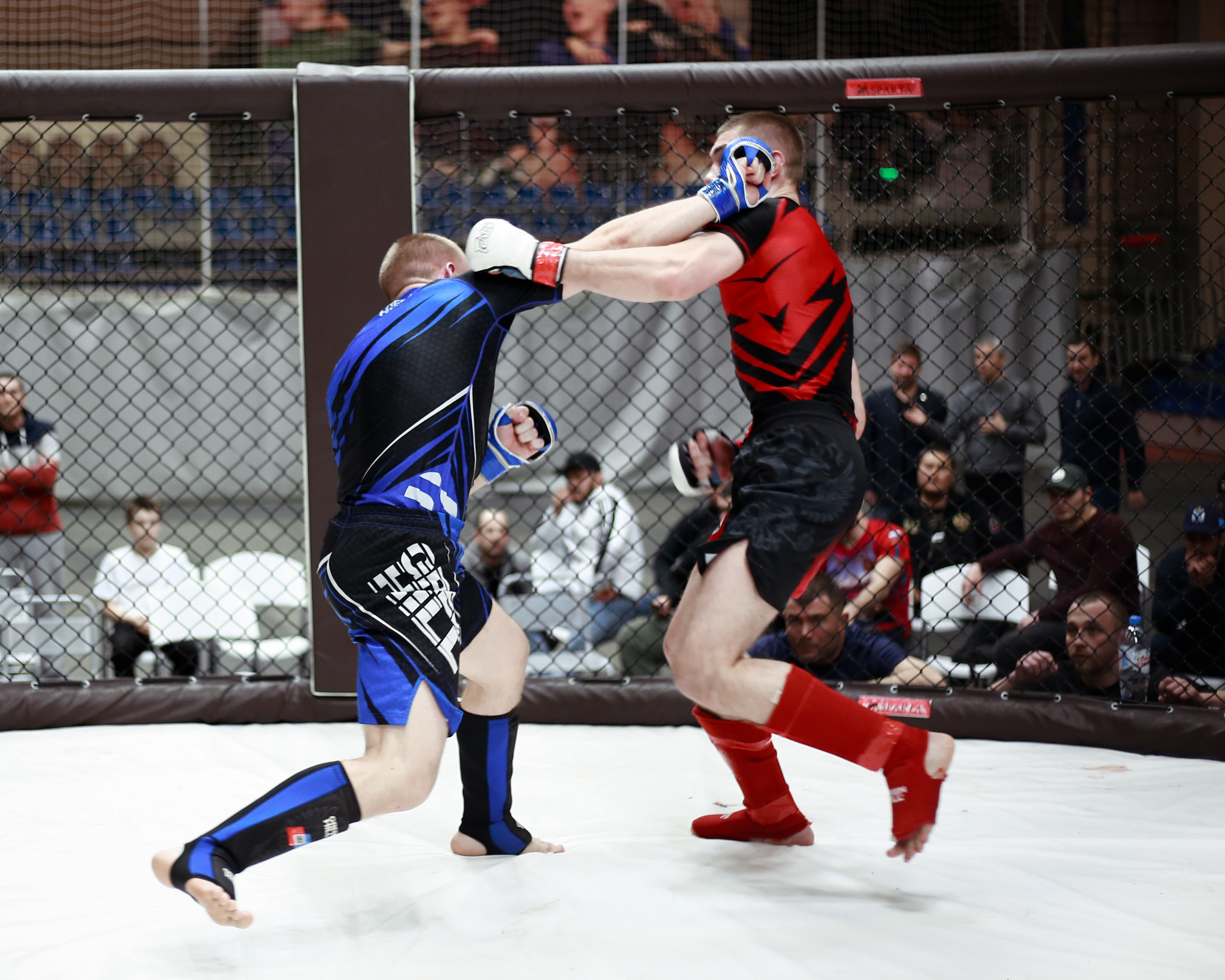 УРФО ММА. Больше не греет