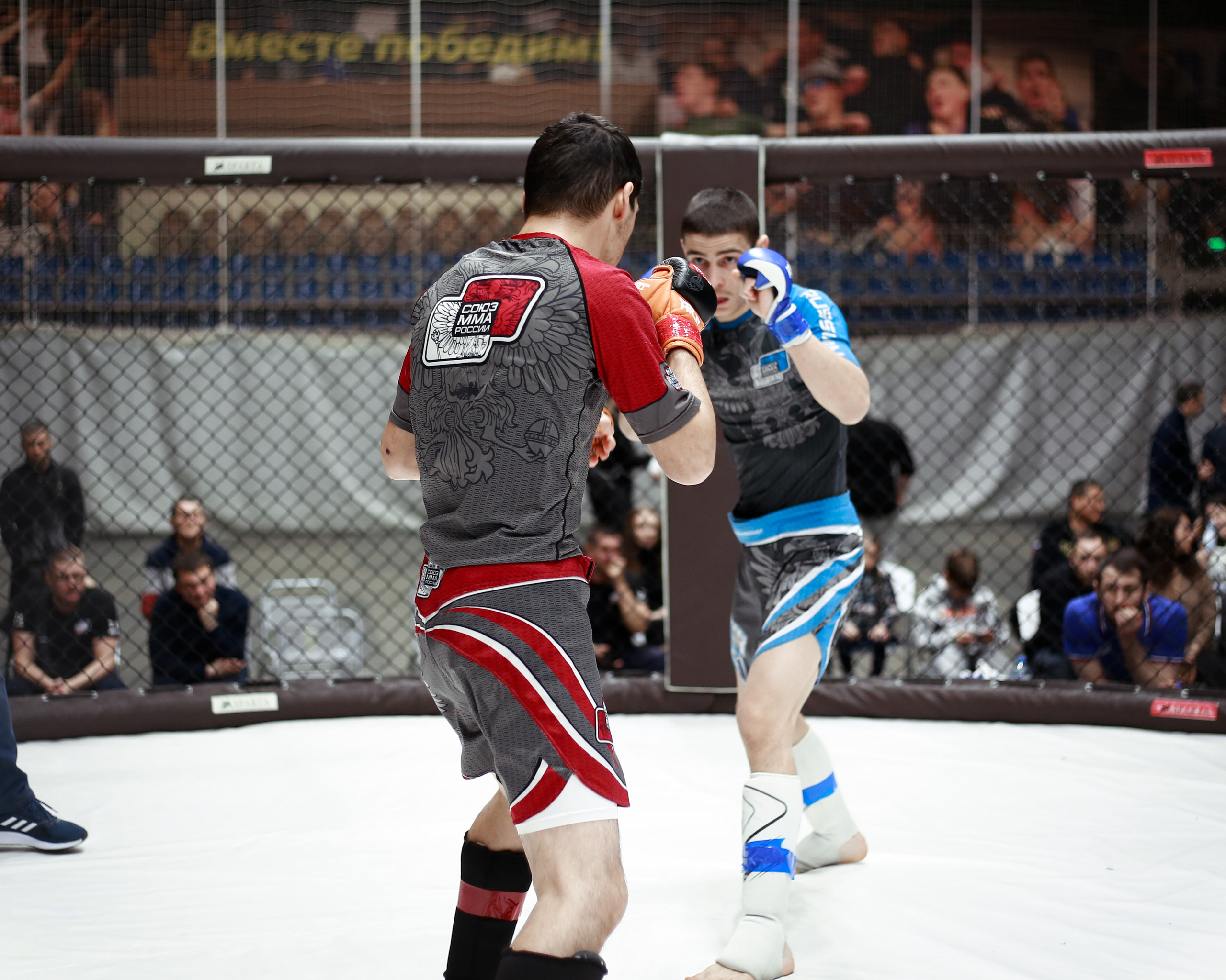 УРФО ММА. Больше не греет