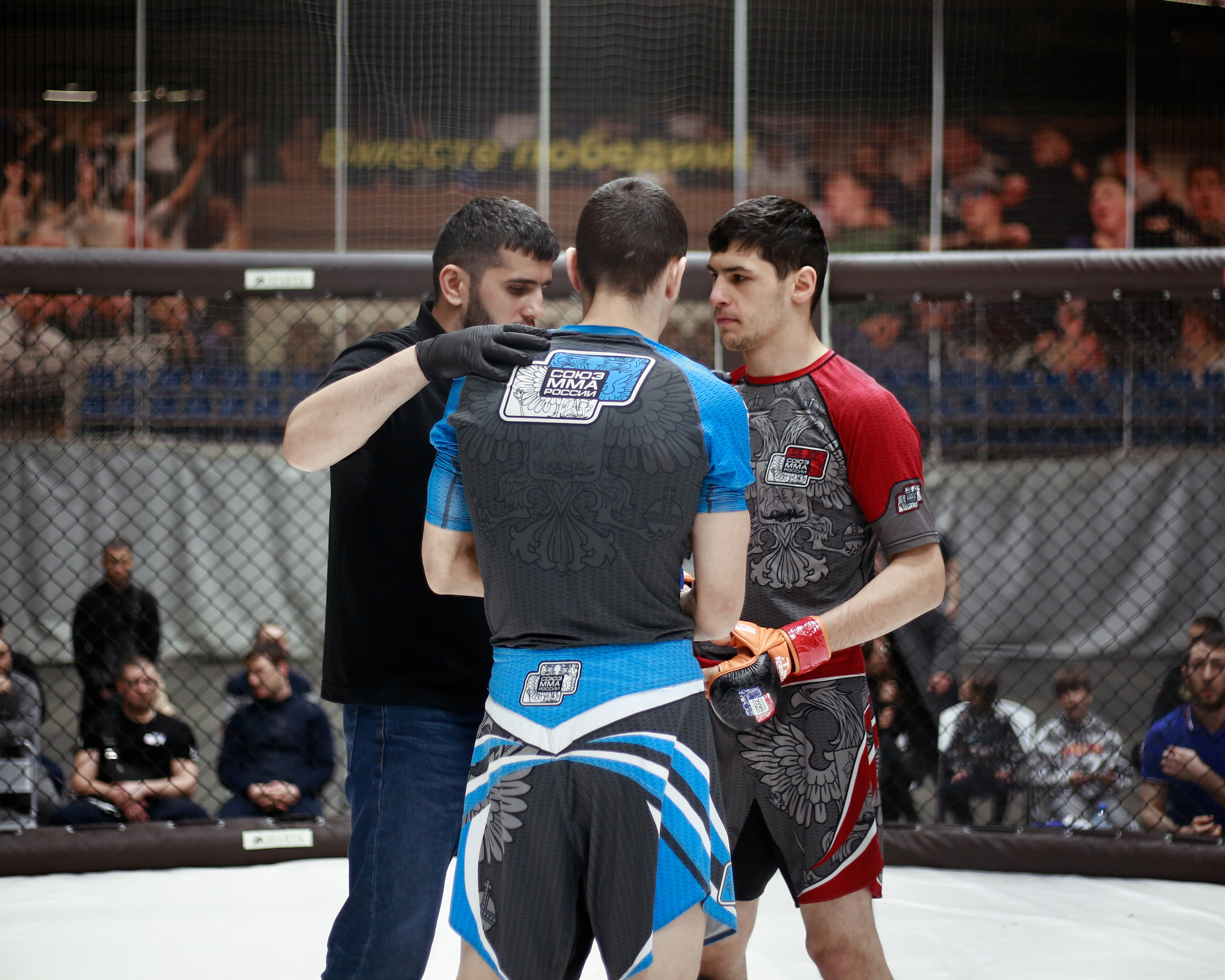 УРФО ММА. Больше не греет