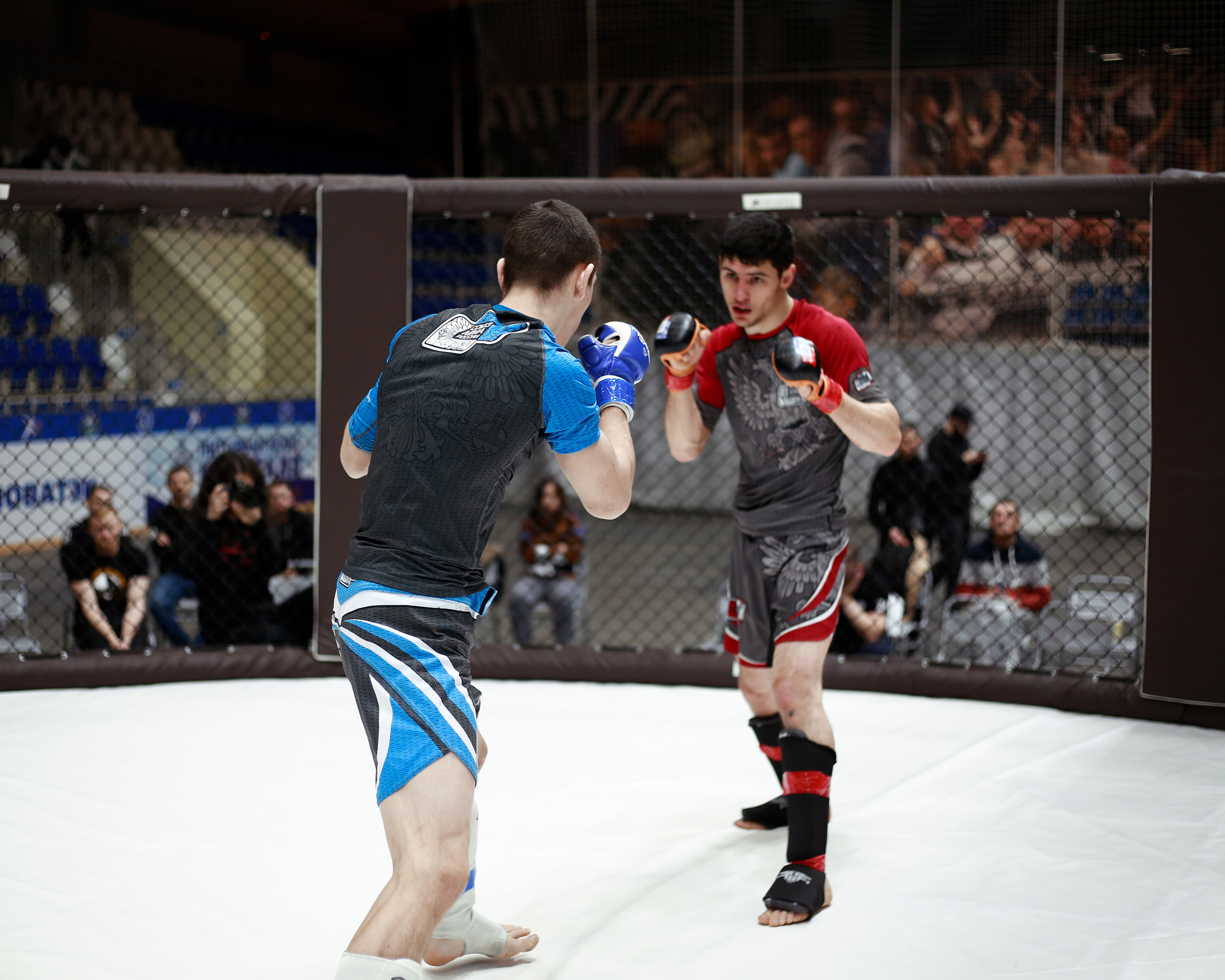 УРФО ММА. Больше не греет