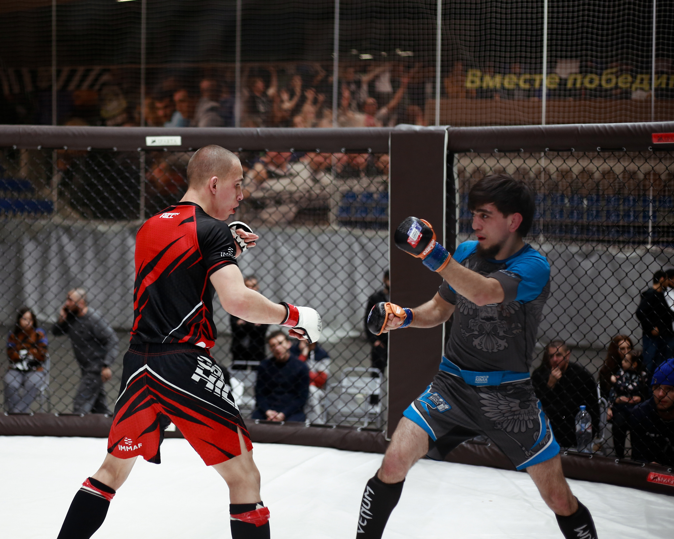 УРФО ММА. Больше не греет