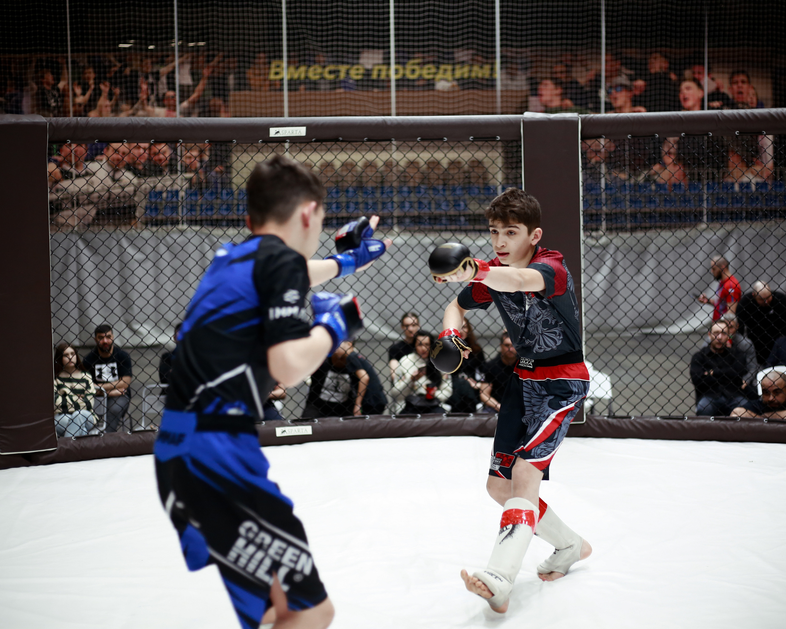 УРФО ММА. Больше не греет