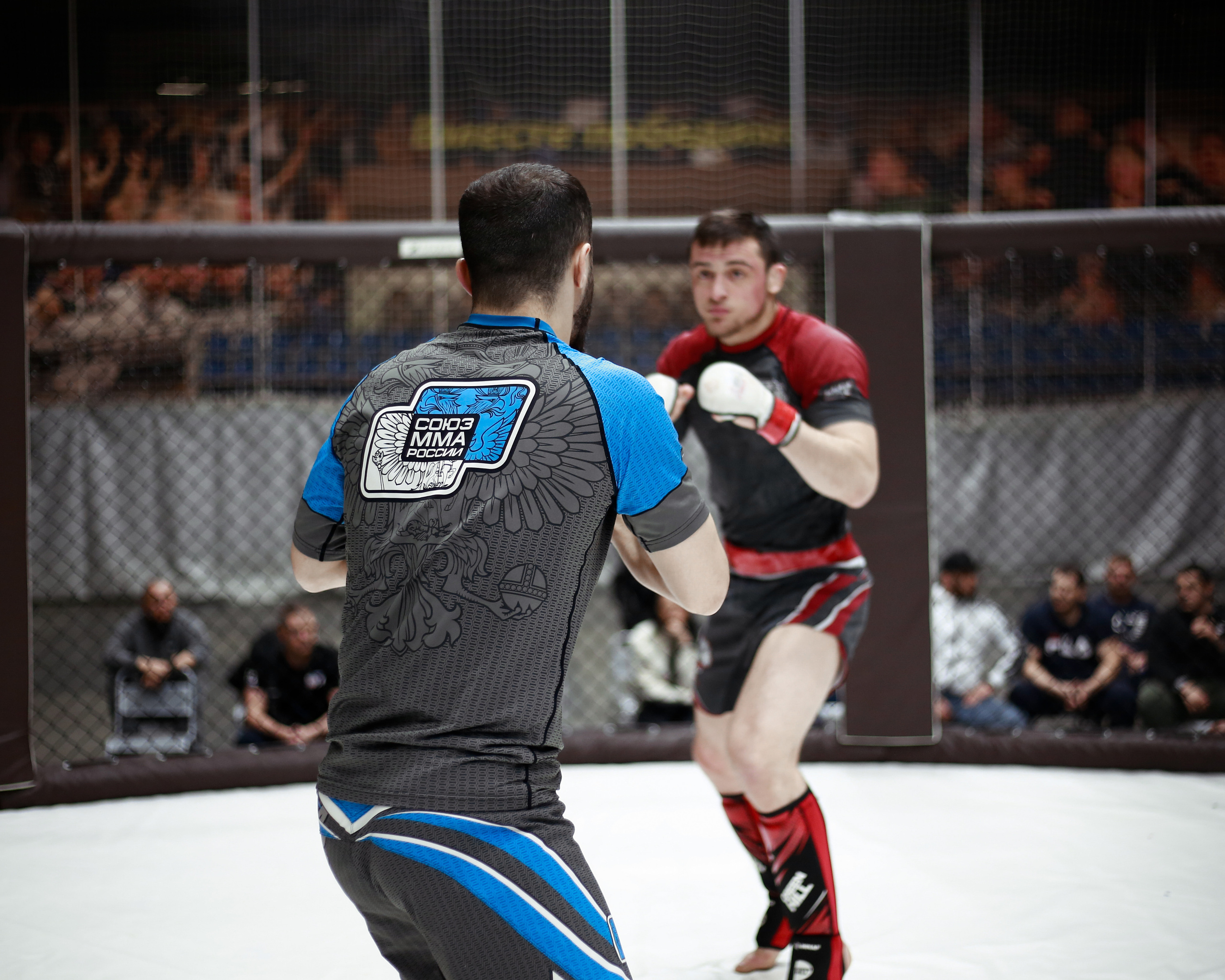 УРФО ММА. Больше не греет