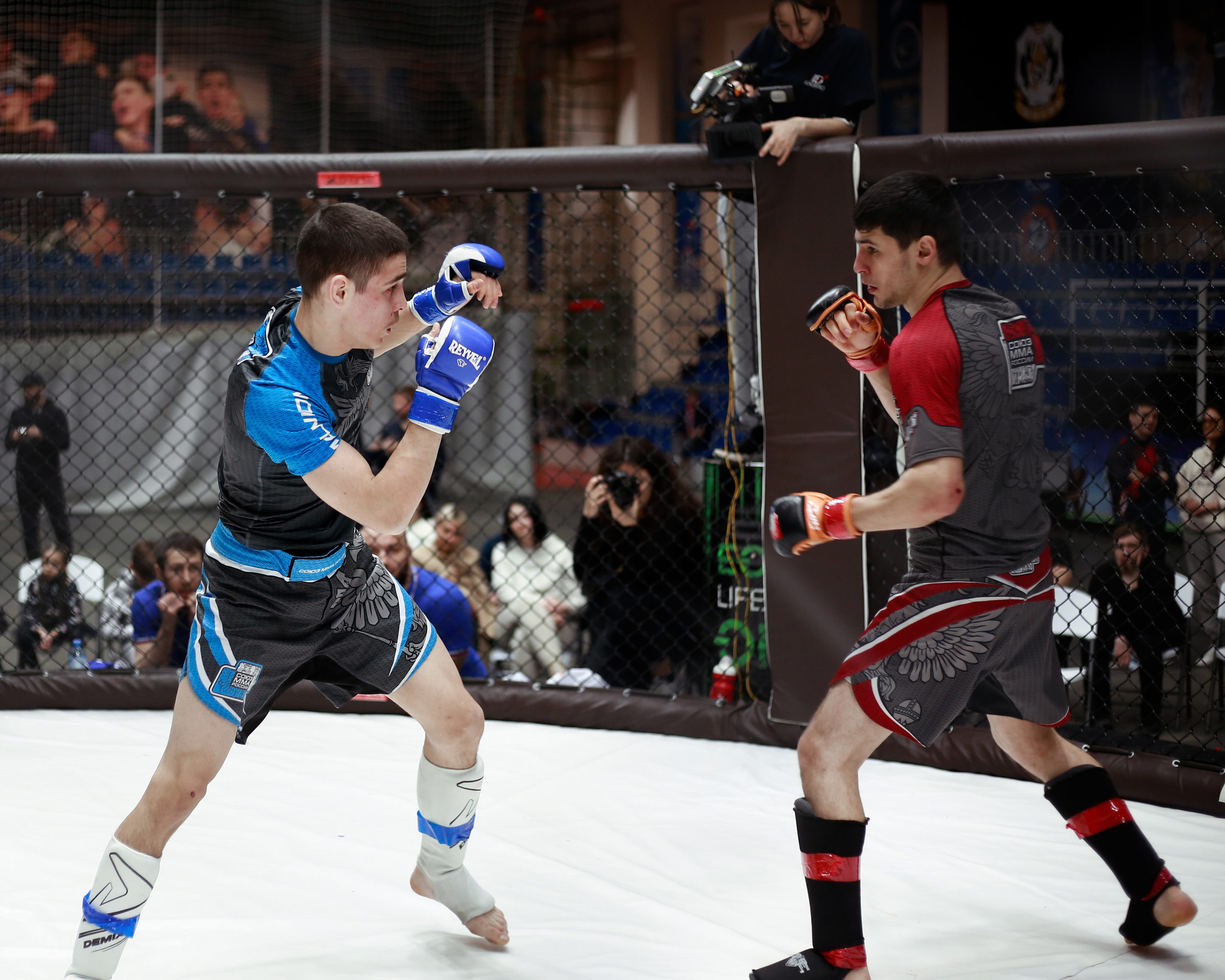 УРФО ММА. Больше не греет