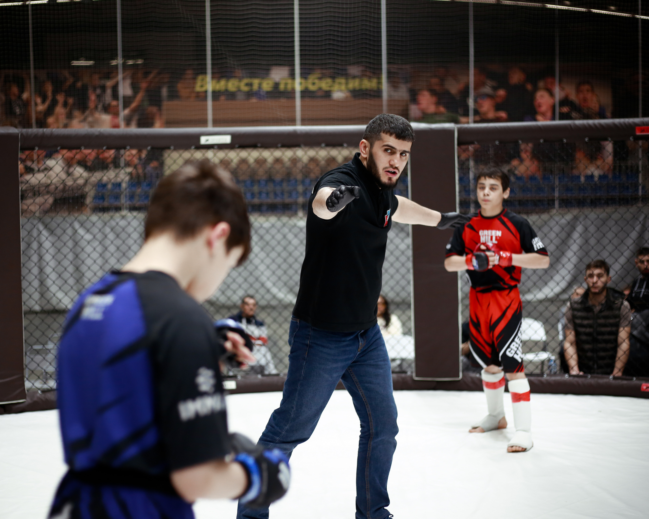 УРФО ММА. Больше не греет