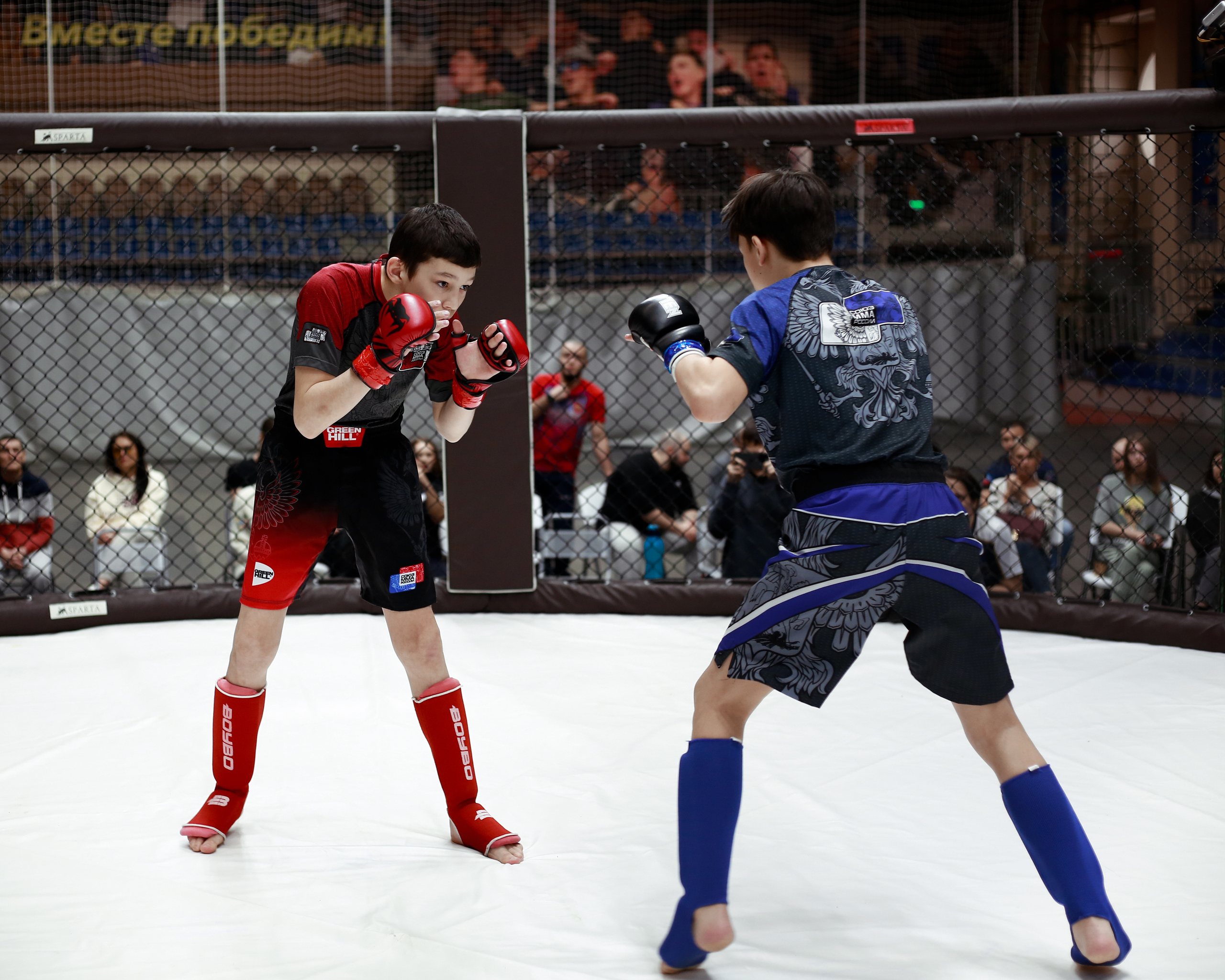 УРФО ММА. Больше не греет