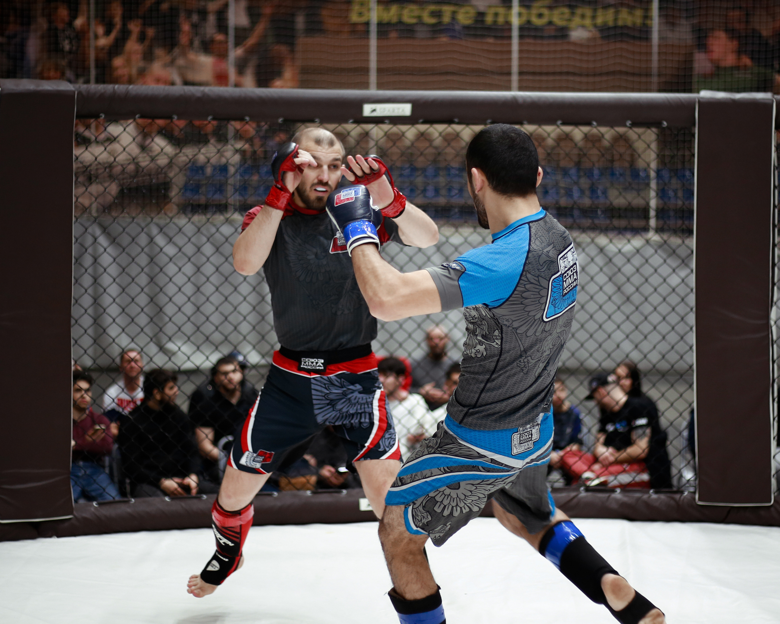 УРФО ММА. Больше не греет