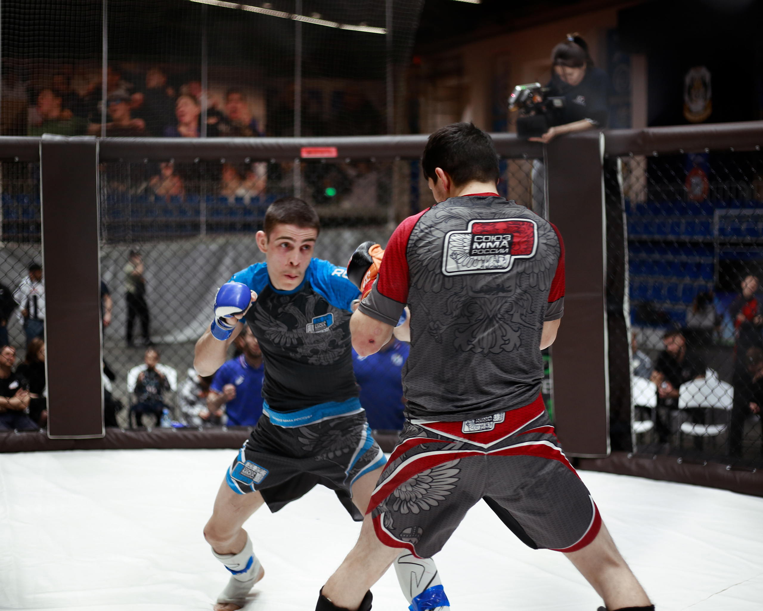 УРФО ММА. Больше не греет