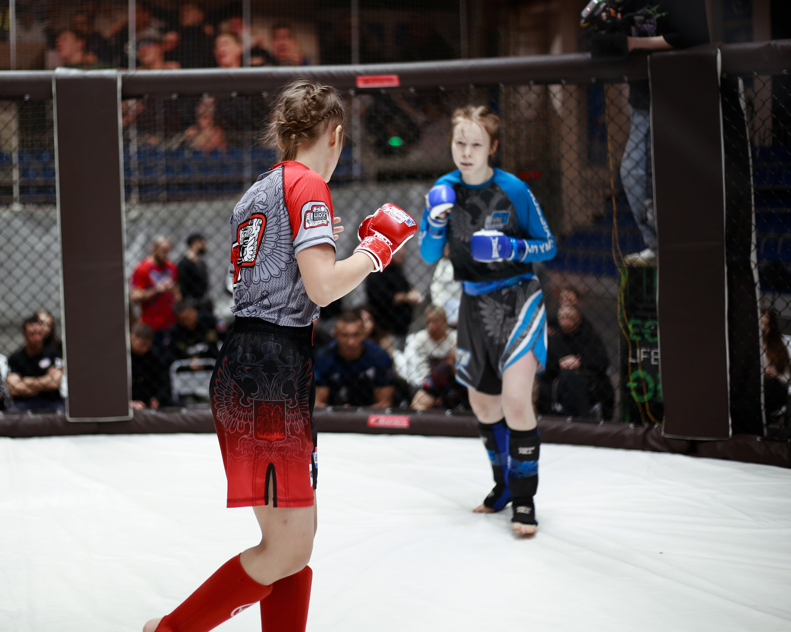 УРФО ММА. Больше не греет