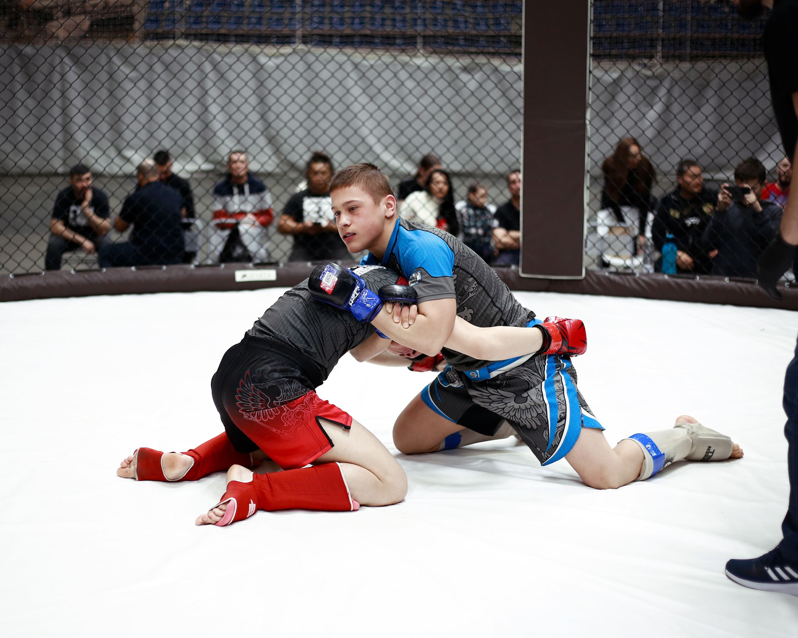 УРФО ММА. Больше не греет