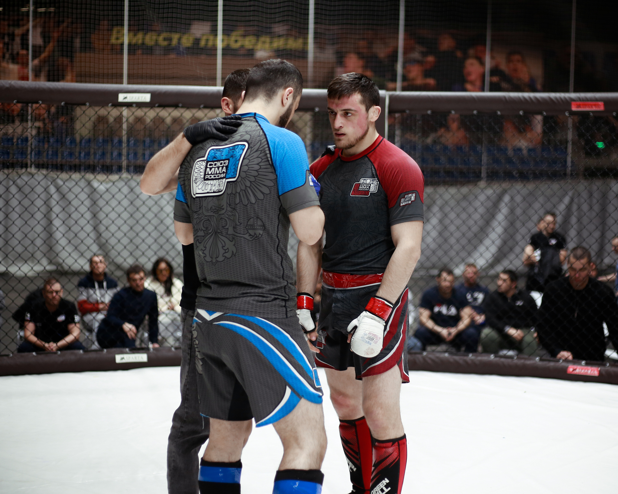 УРФО ММА. Больше не греет